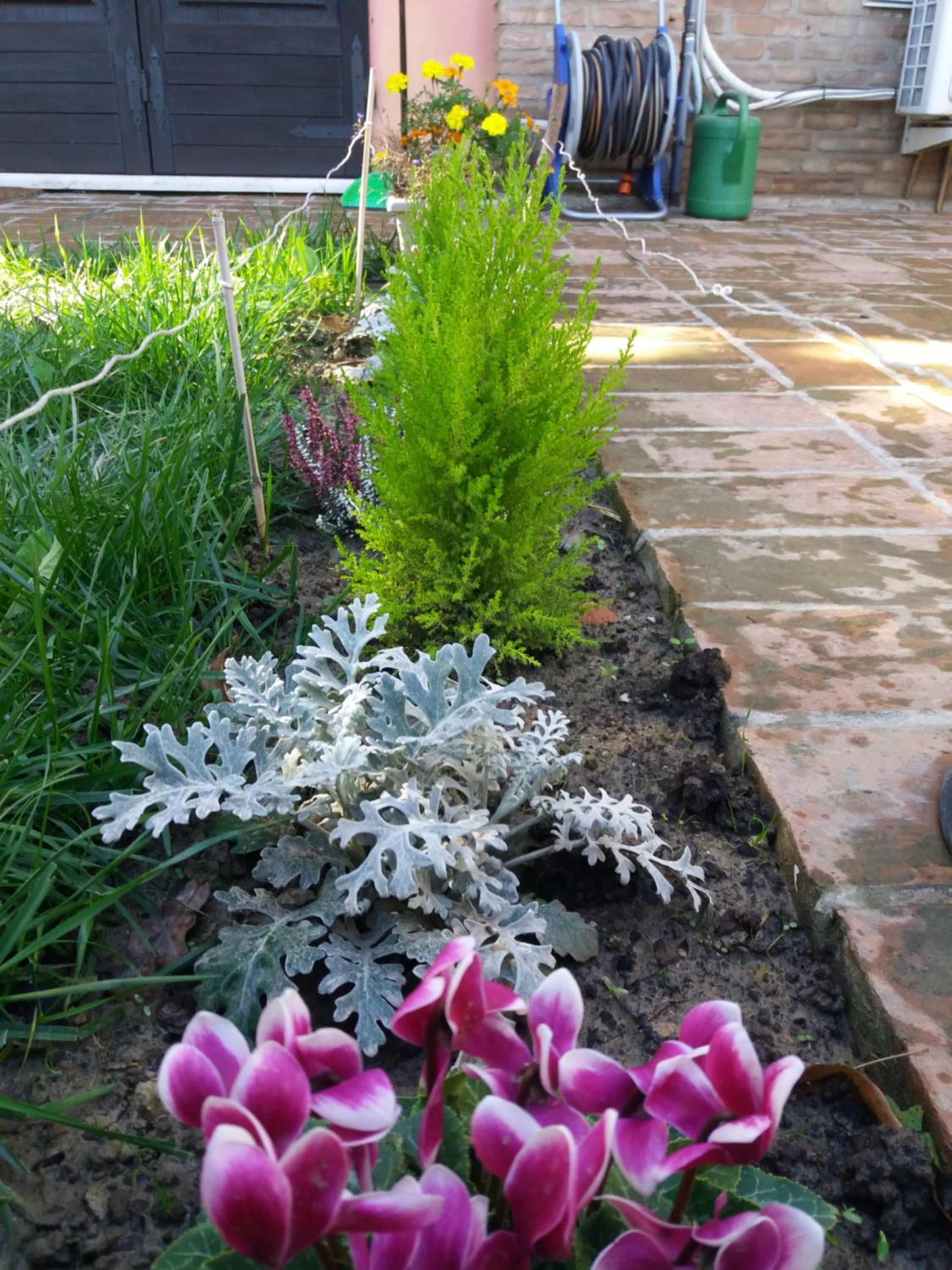 Photo 48