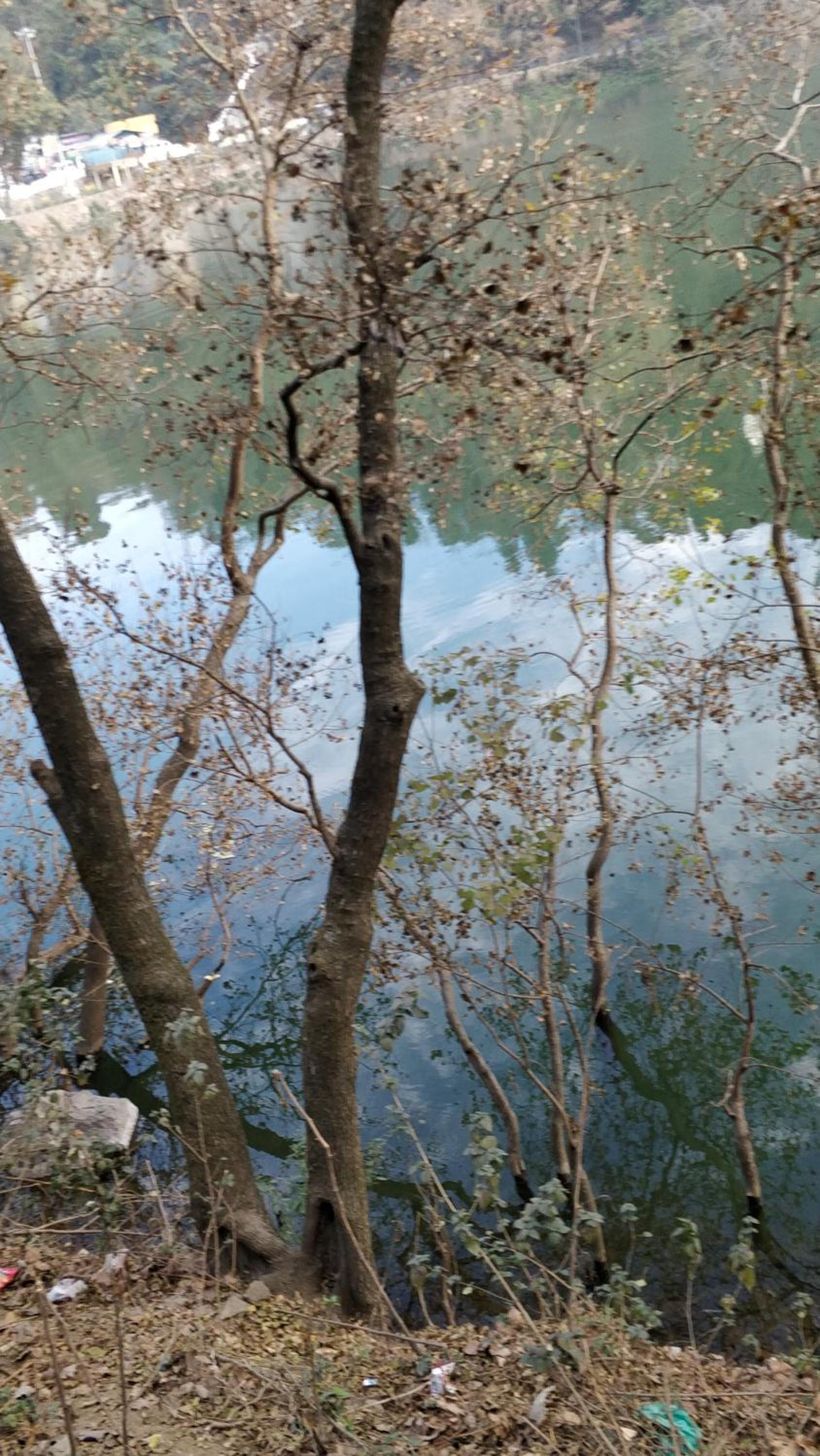 Photo 46