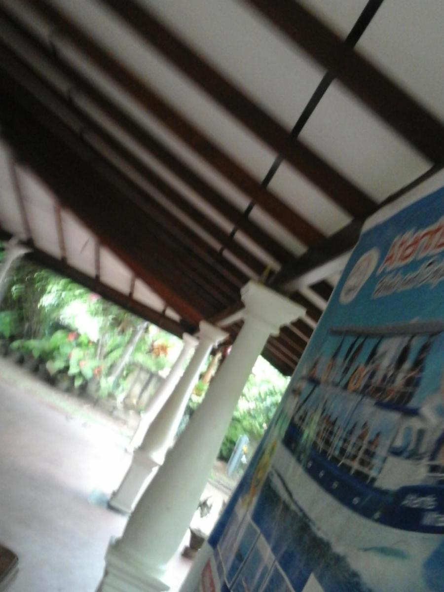 Himasha Guest