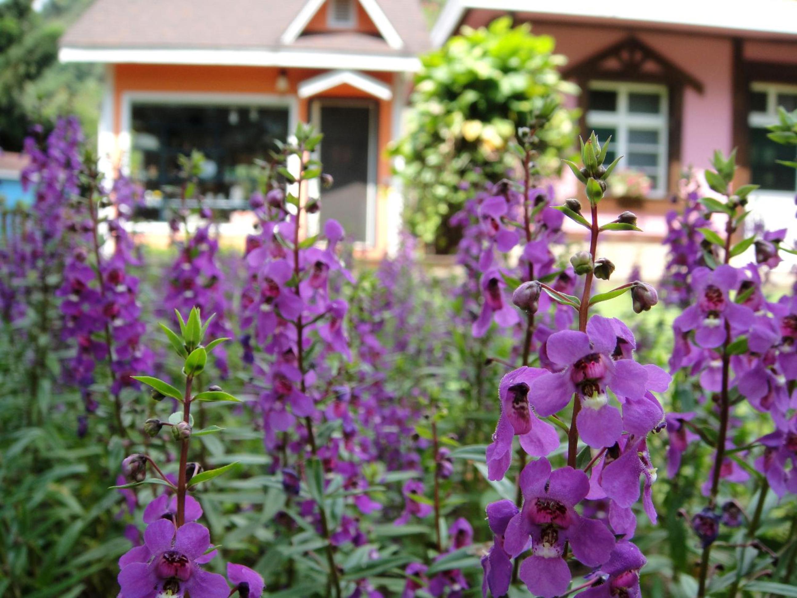Li Jin Kuan Homestay