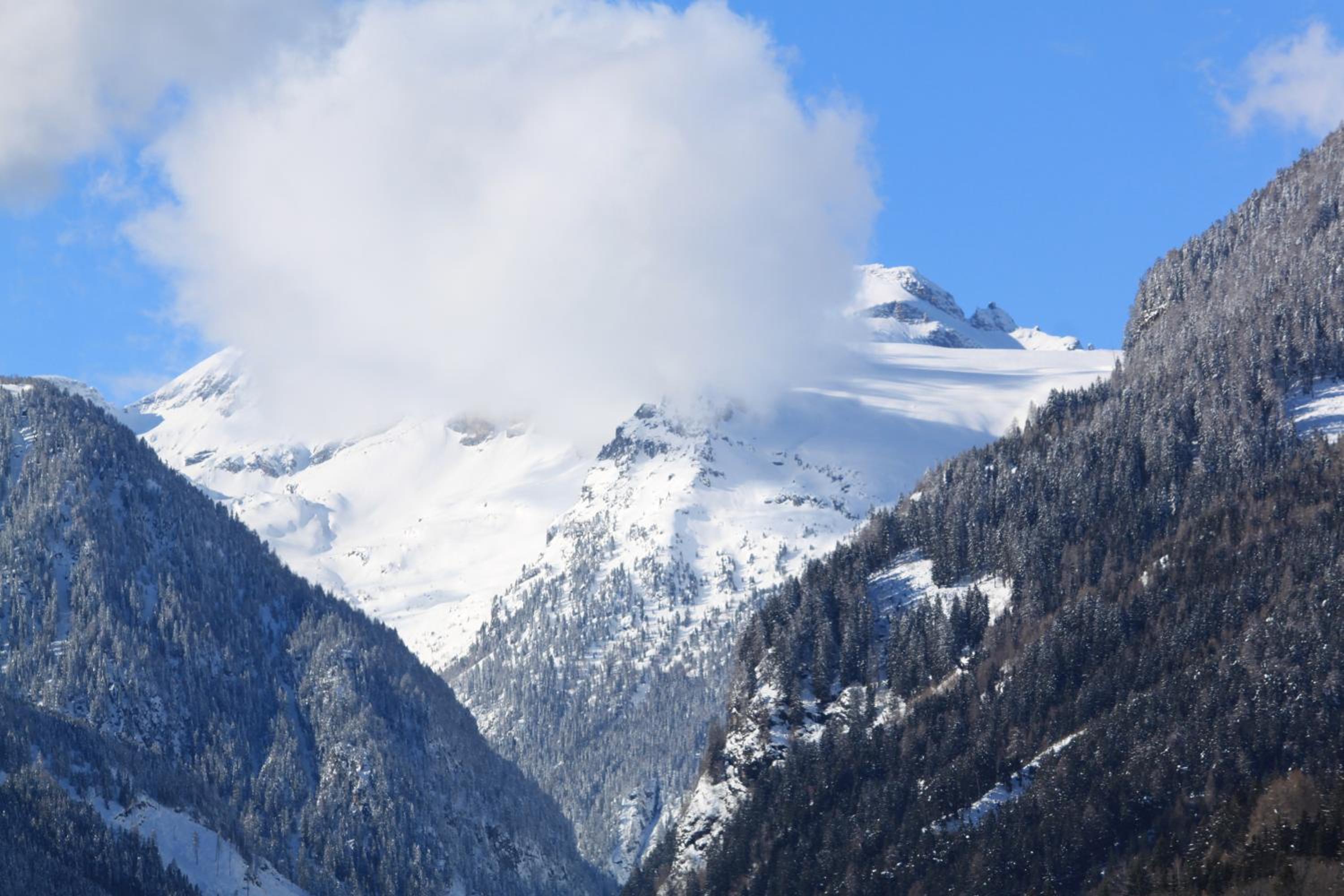Perau in Gmünd