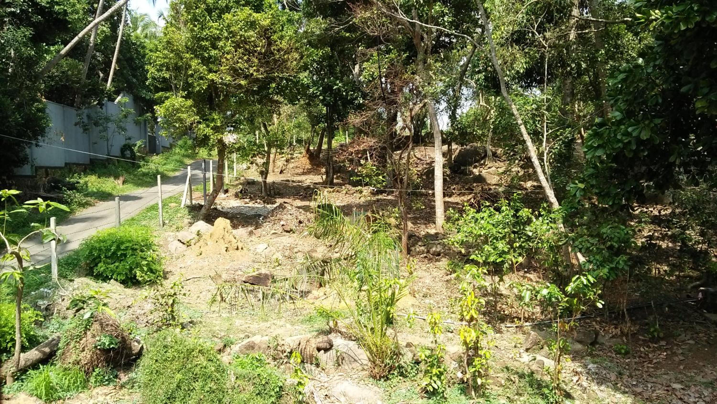 Photo 17