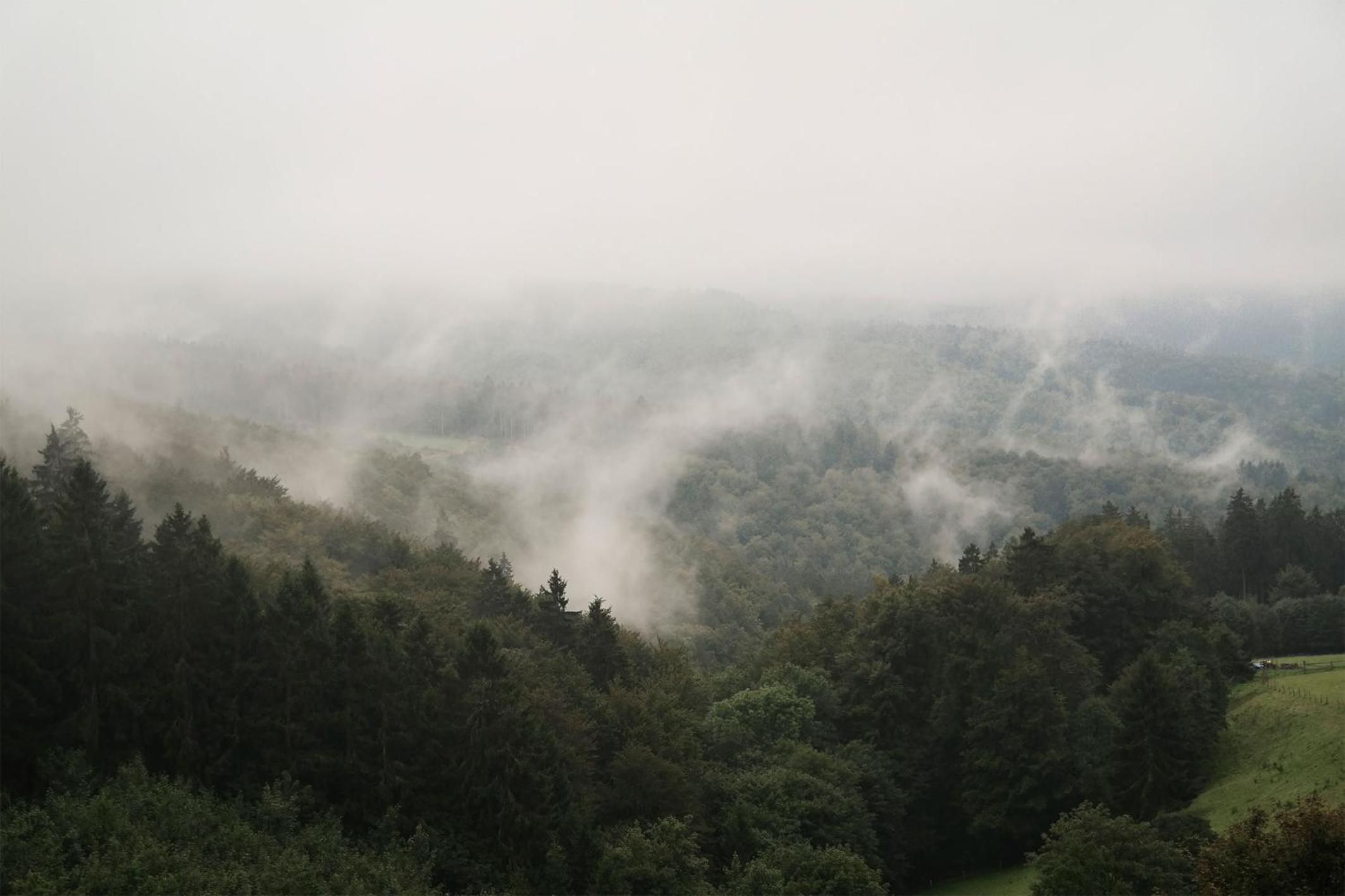 Romantikhütte Rothaarsteig view 5