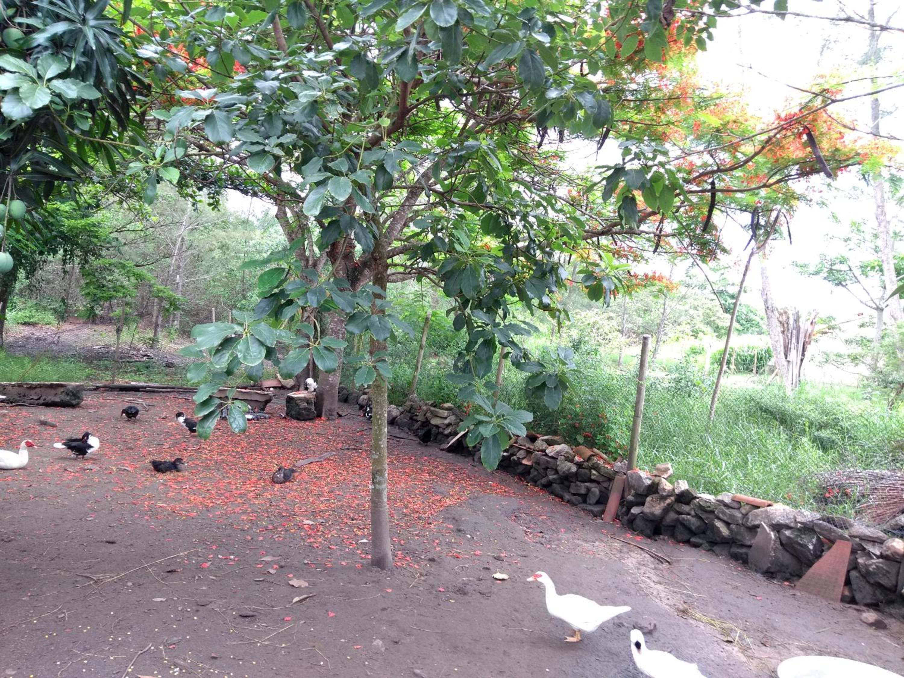 Casa da Mamãe