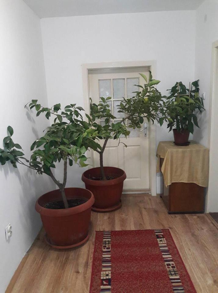Photo 49