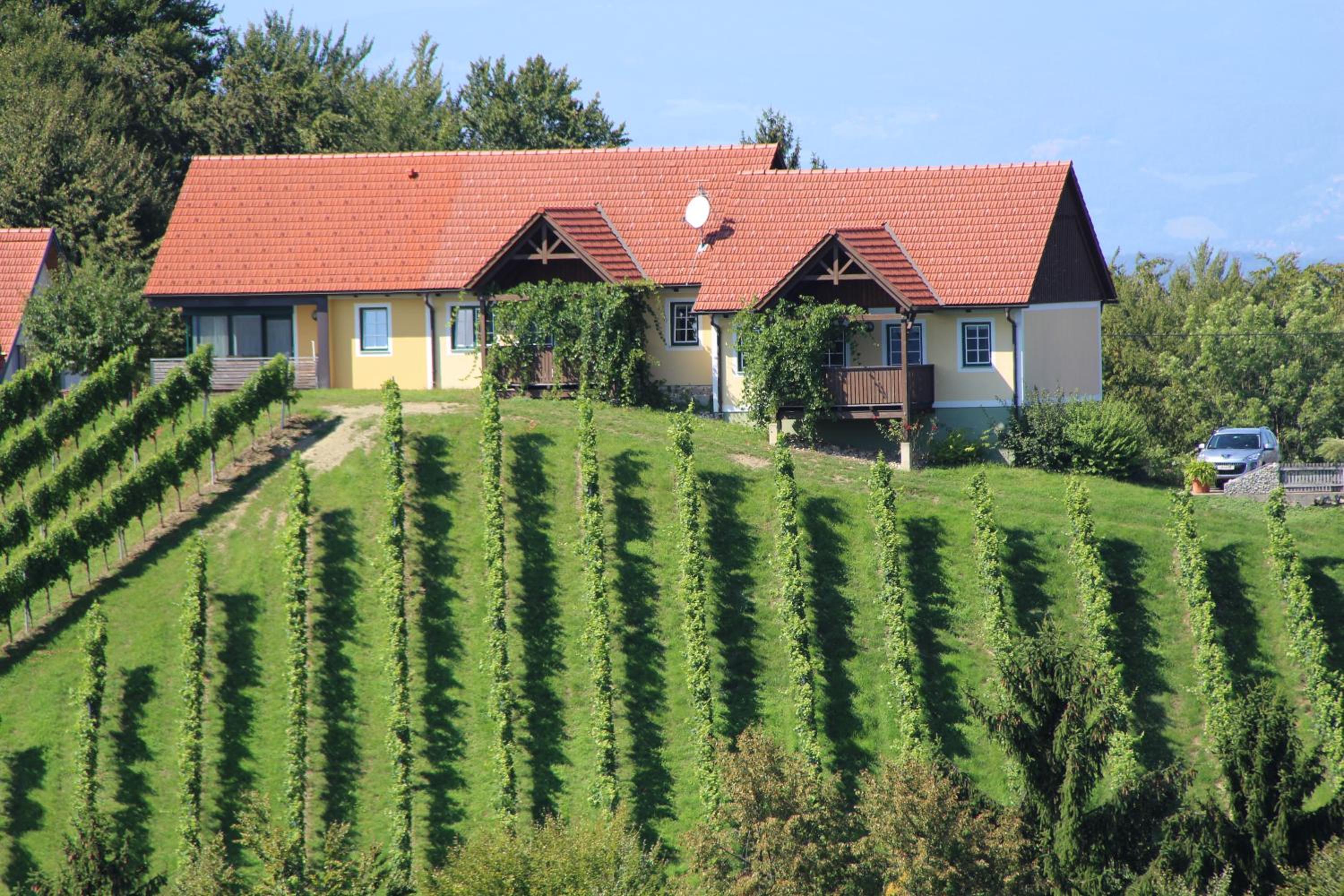 Weingut Sternat vlg. Schmalzpeter