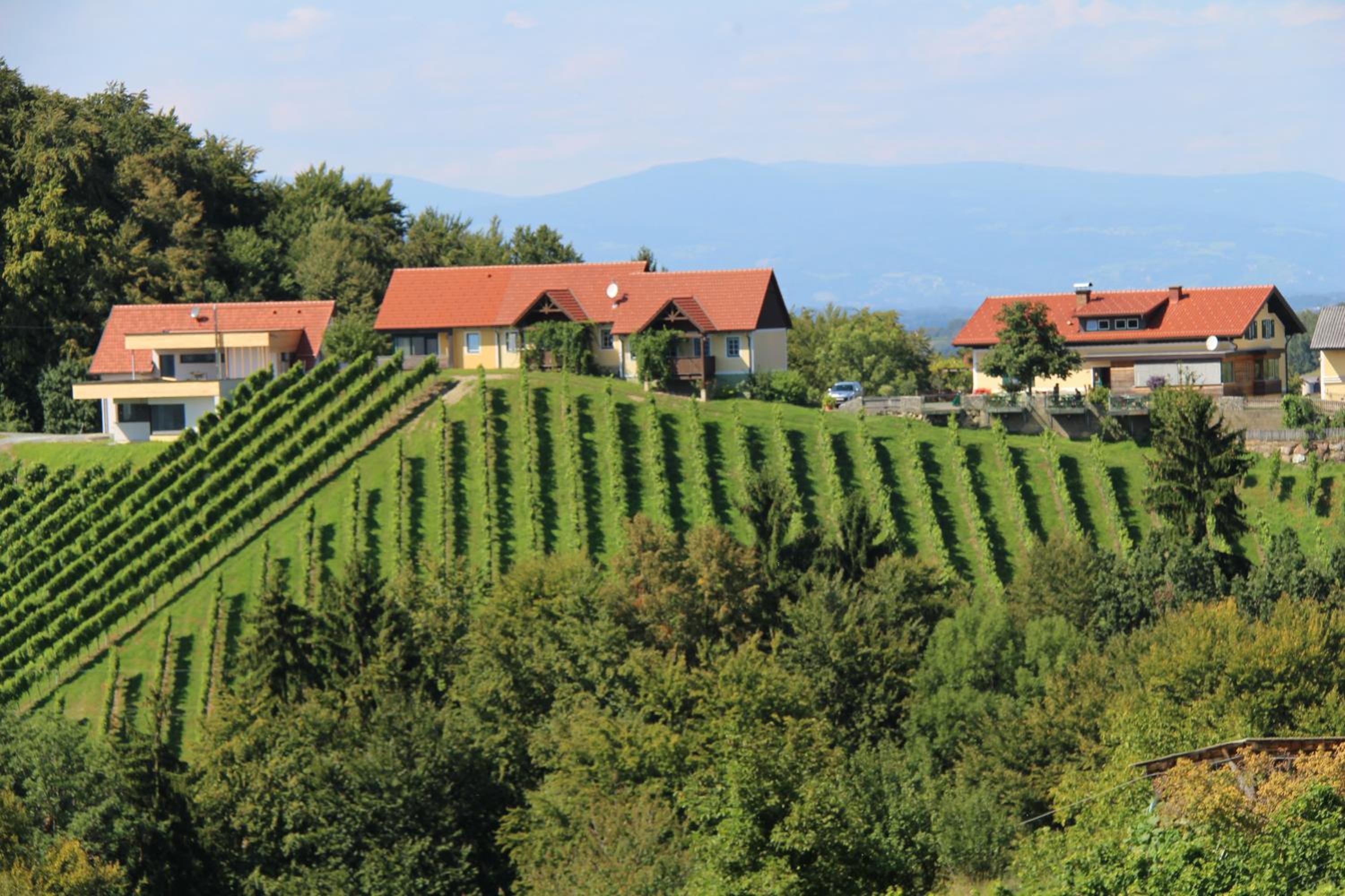 Weingut Sternat vlg. Schmalzpeter