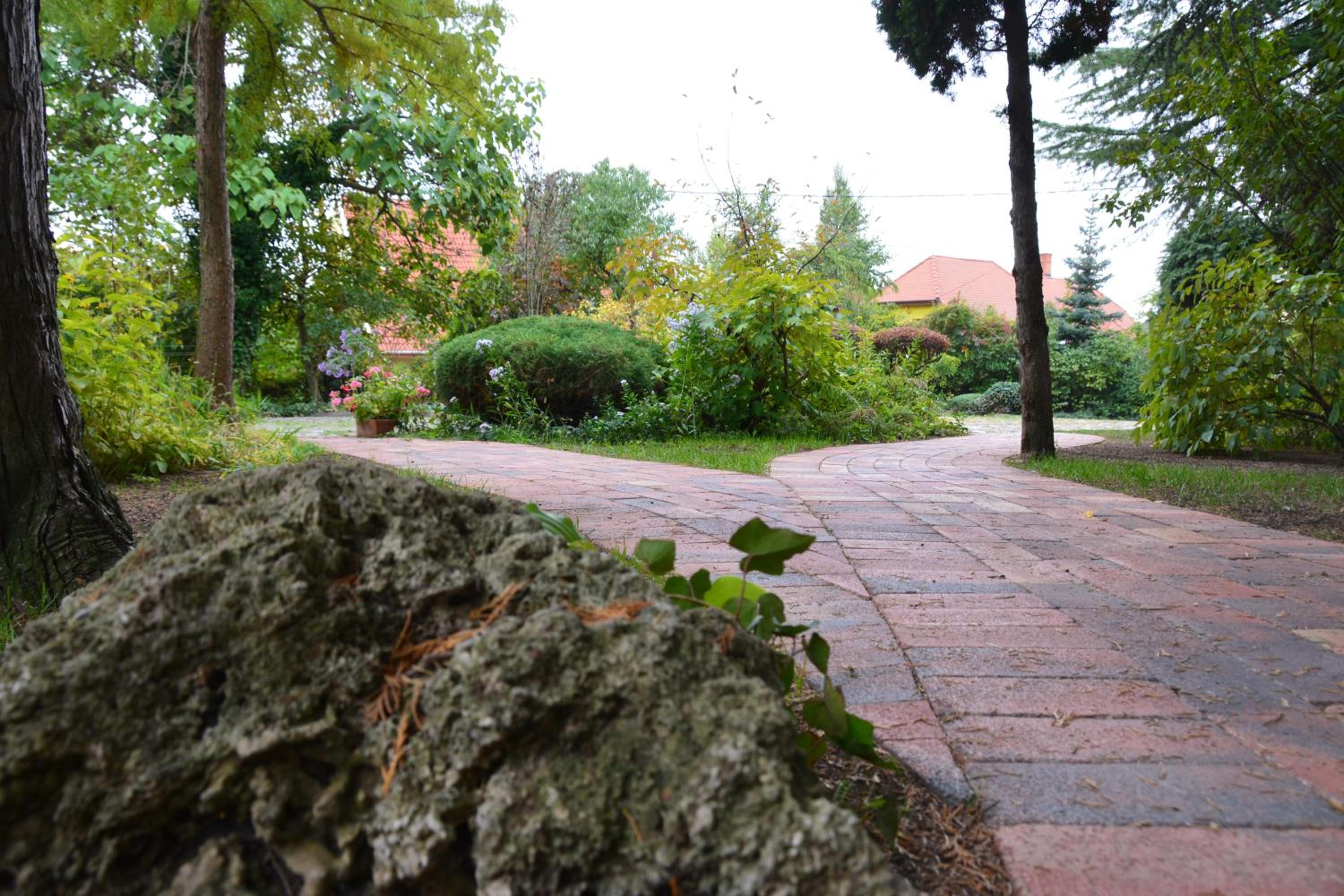 Photo 47