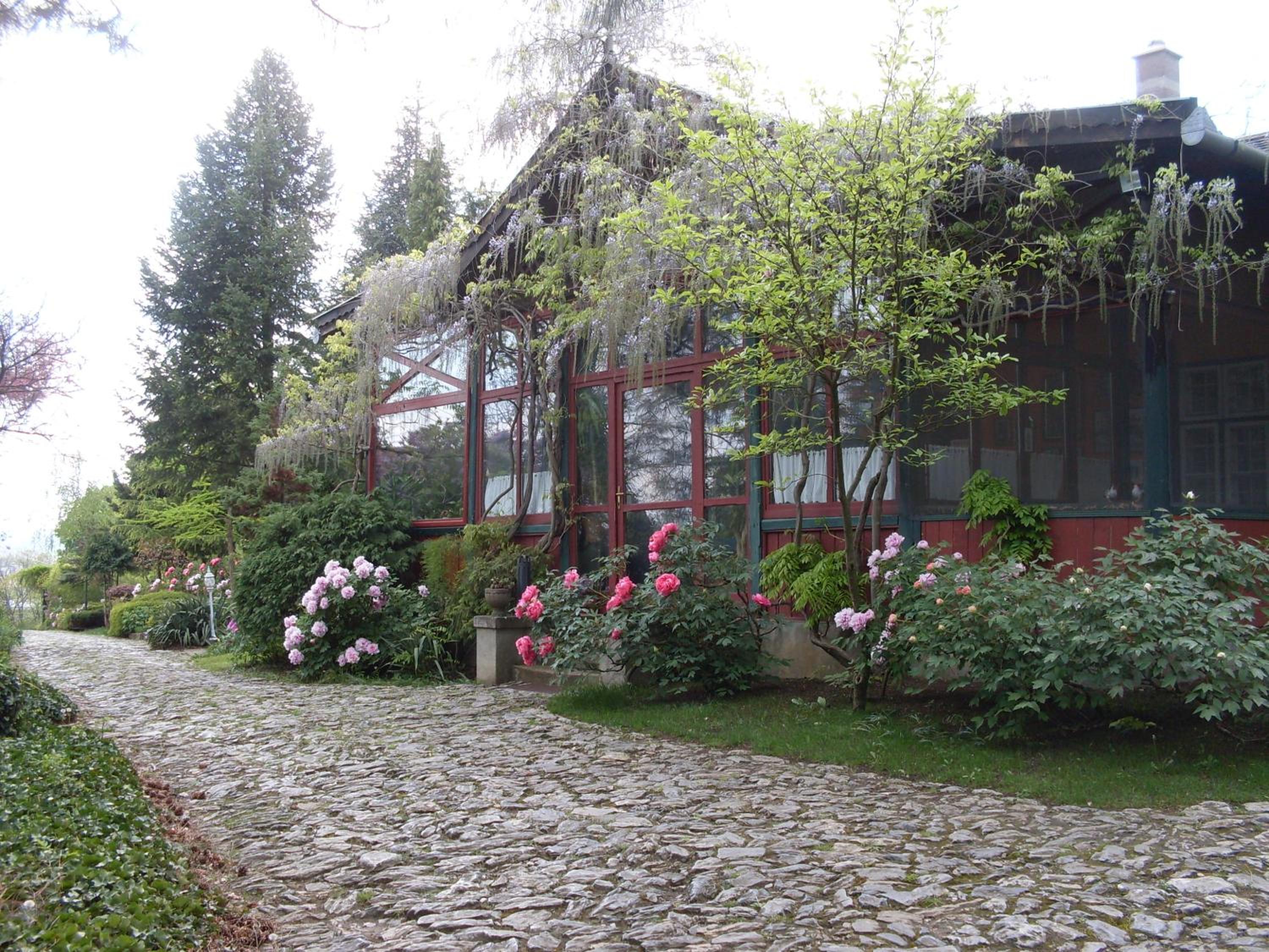 Photo 43