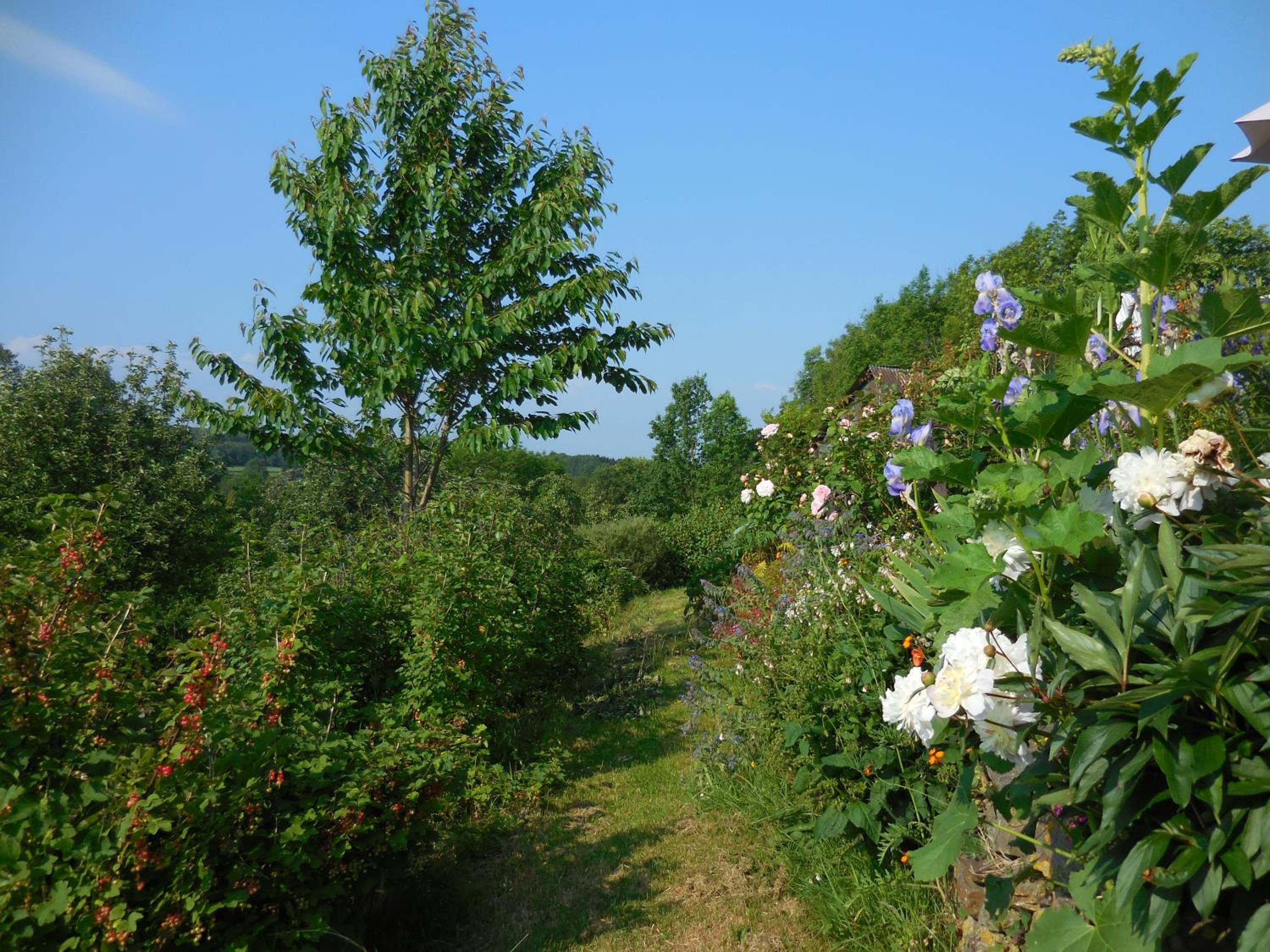 Le Ru du Passage