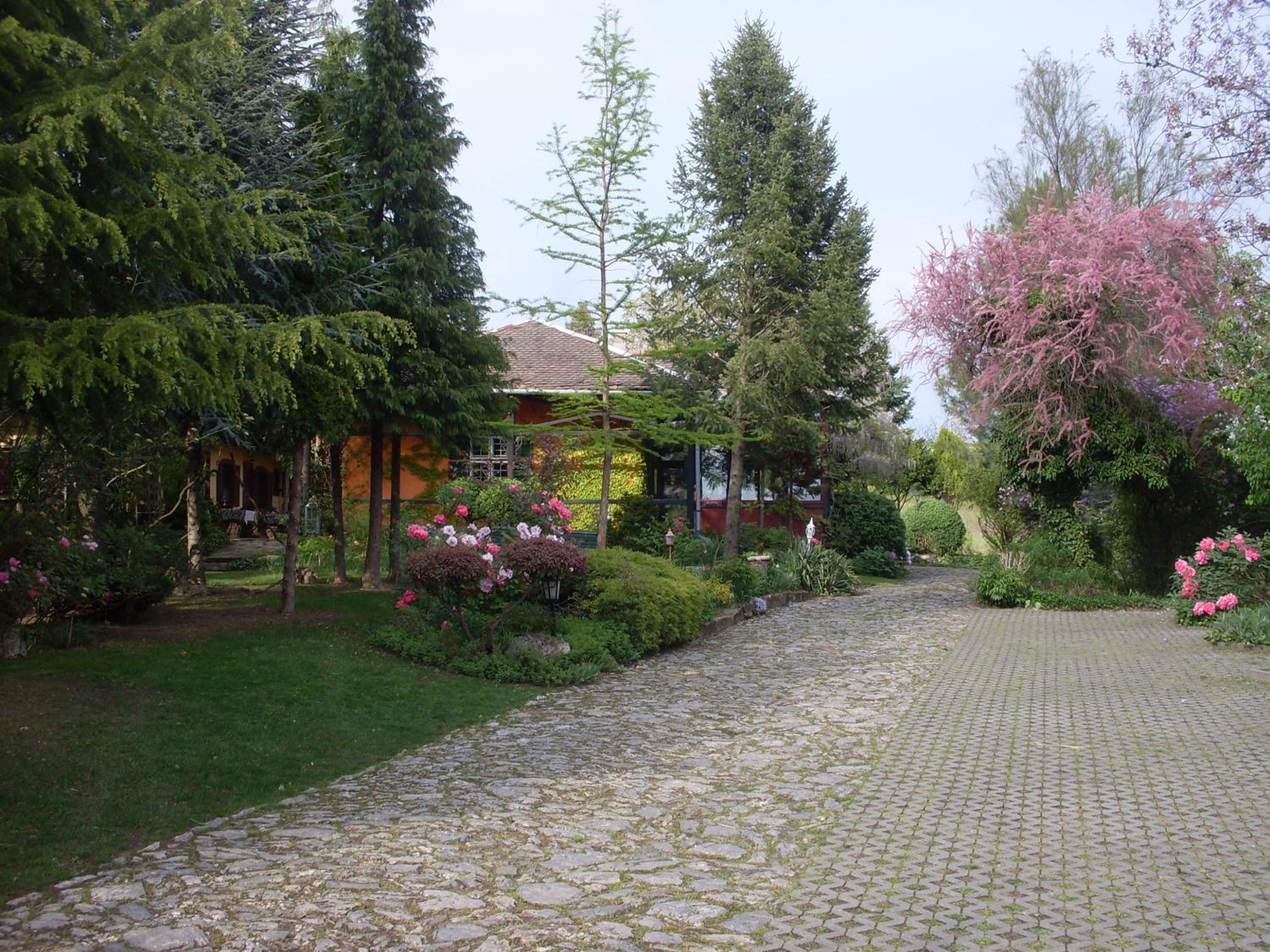 Photo 42