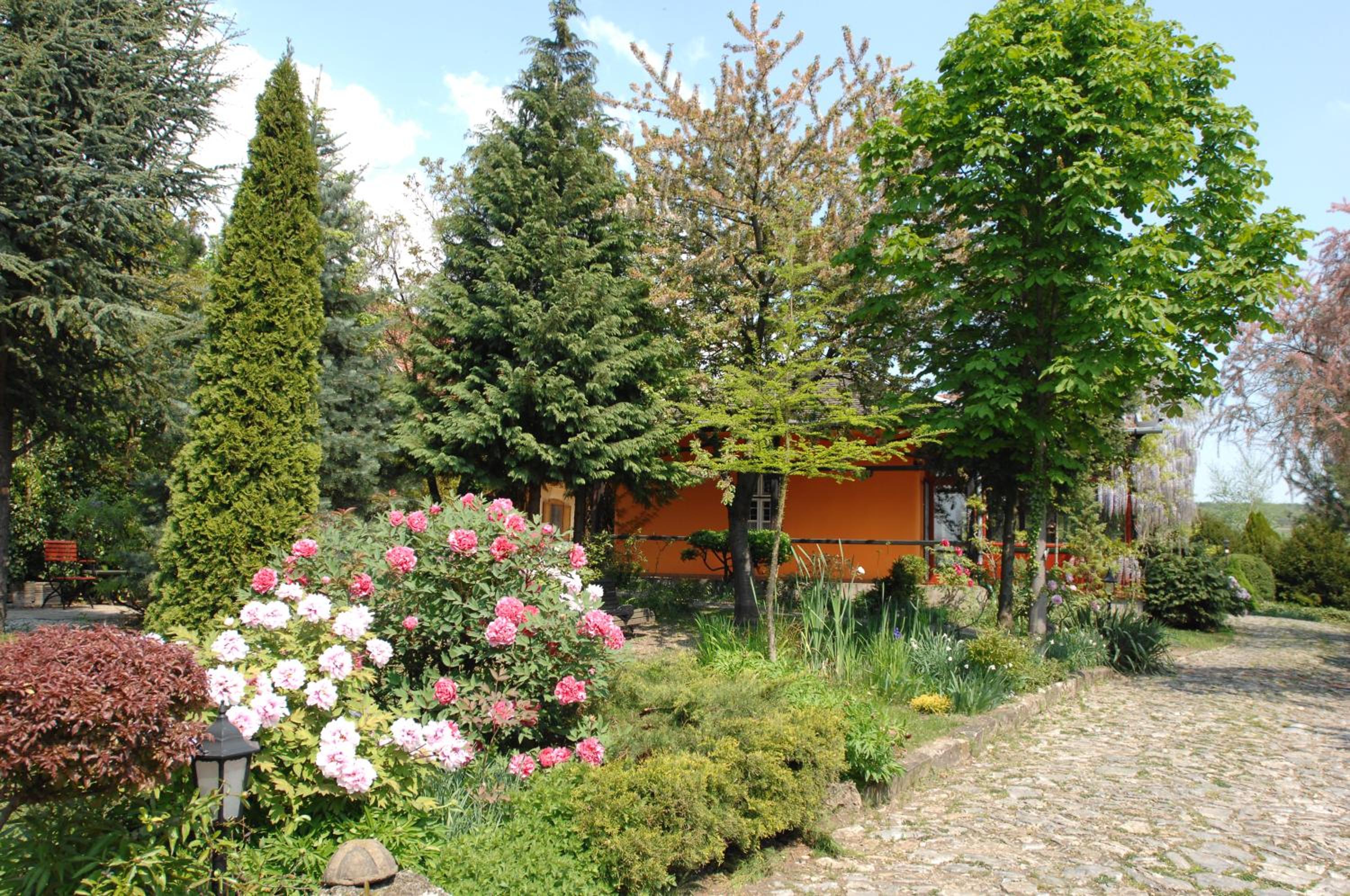 Photo 40
