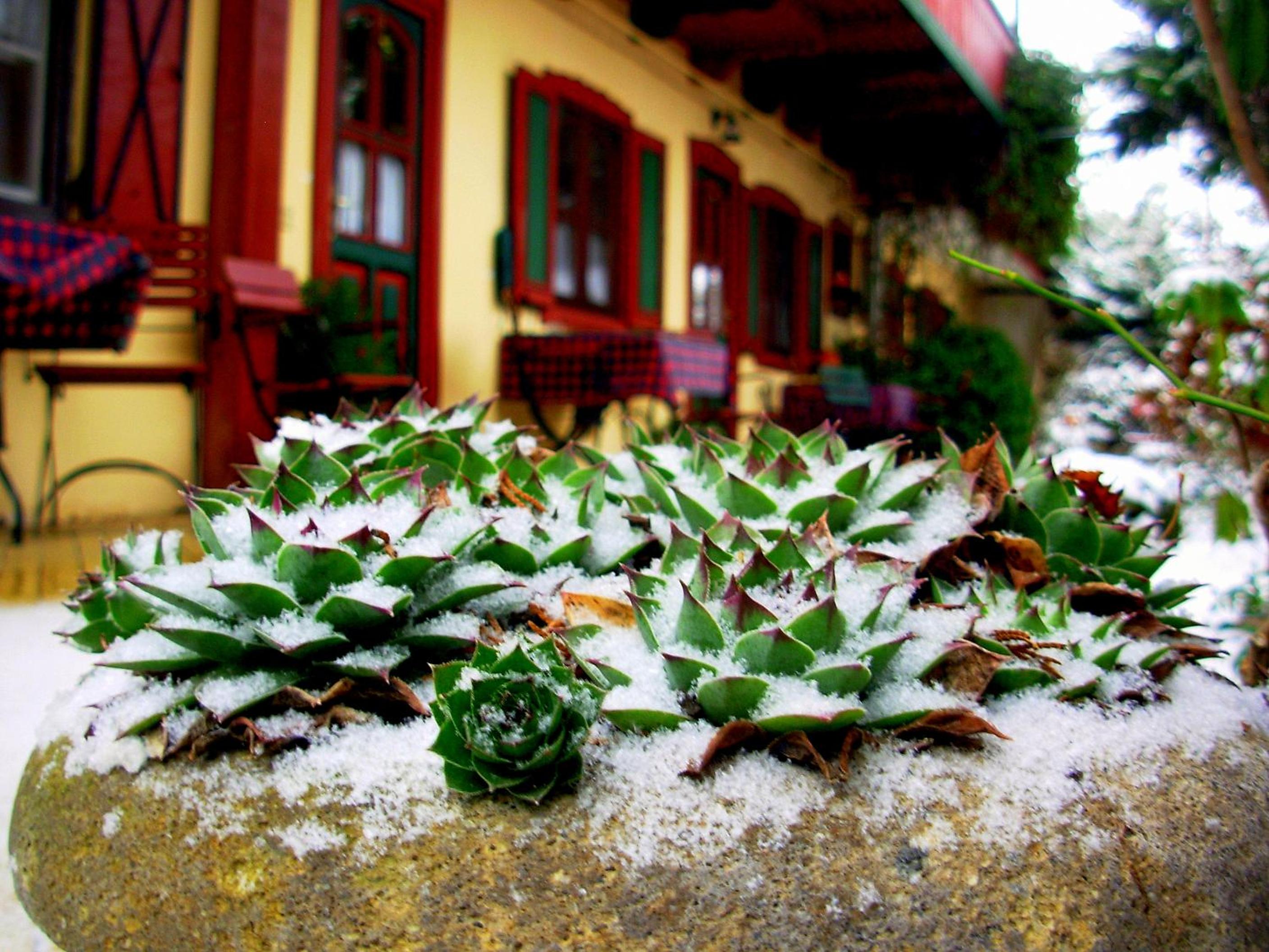 Garten Vendégház view 5