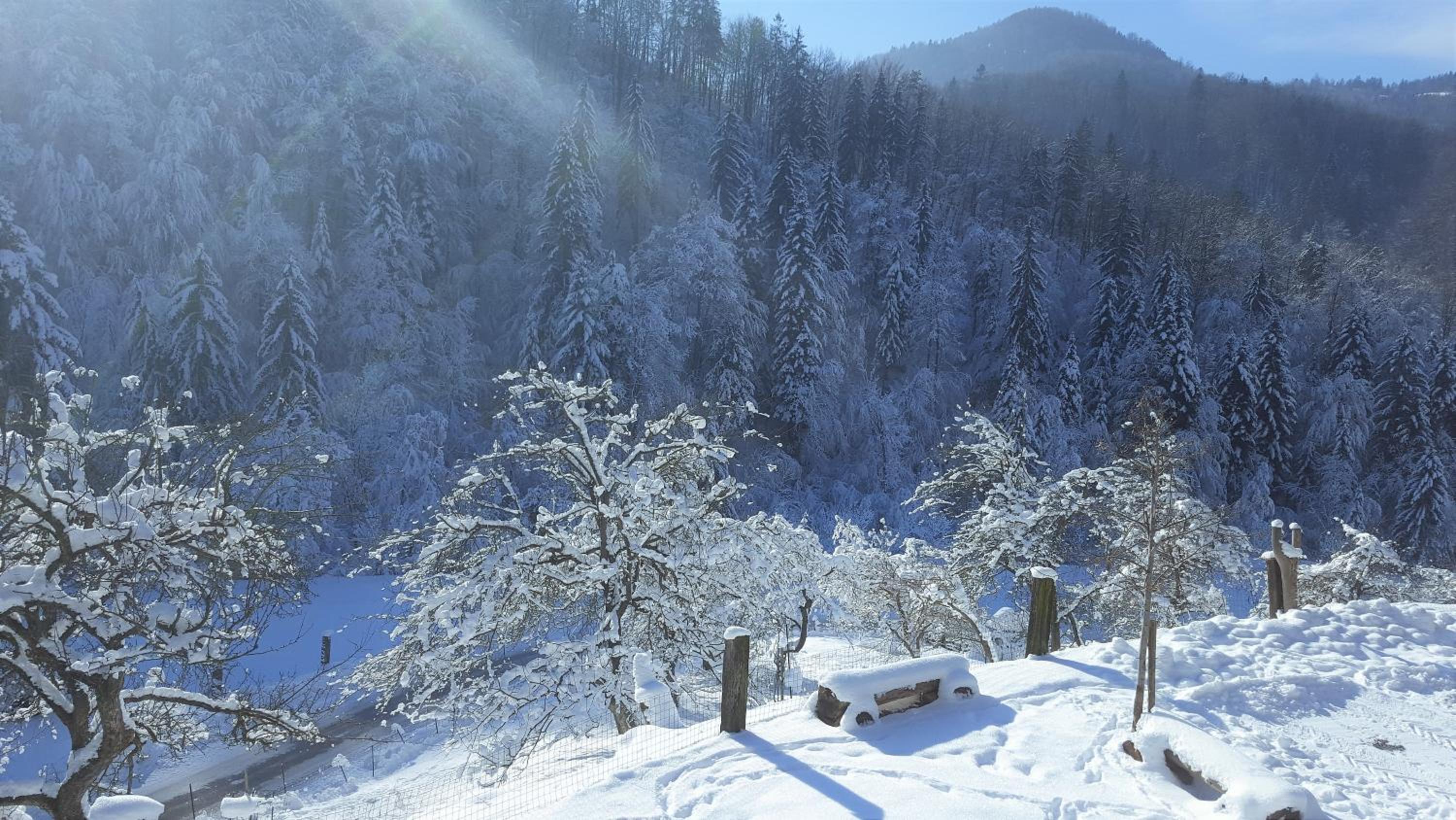 Turistična kmetija Weiss view 3