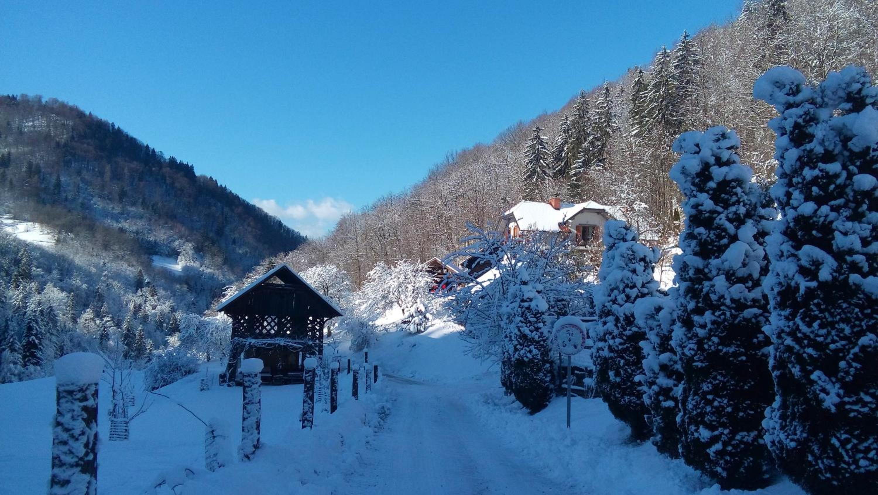 Turistična kmetija Weiss view 4
