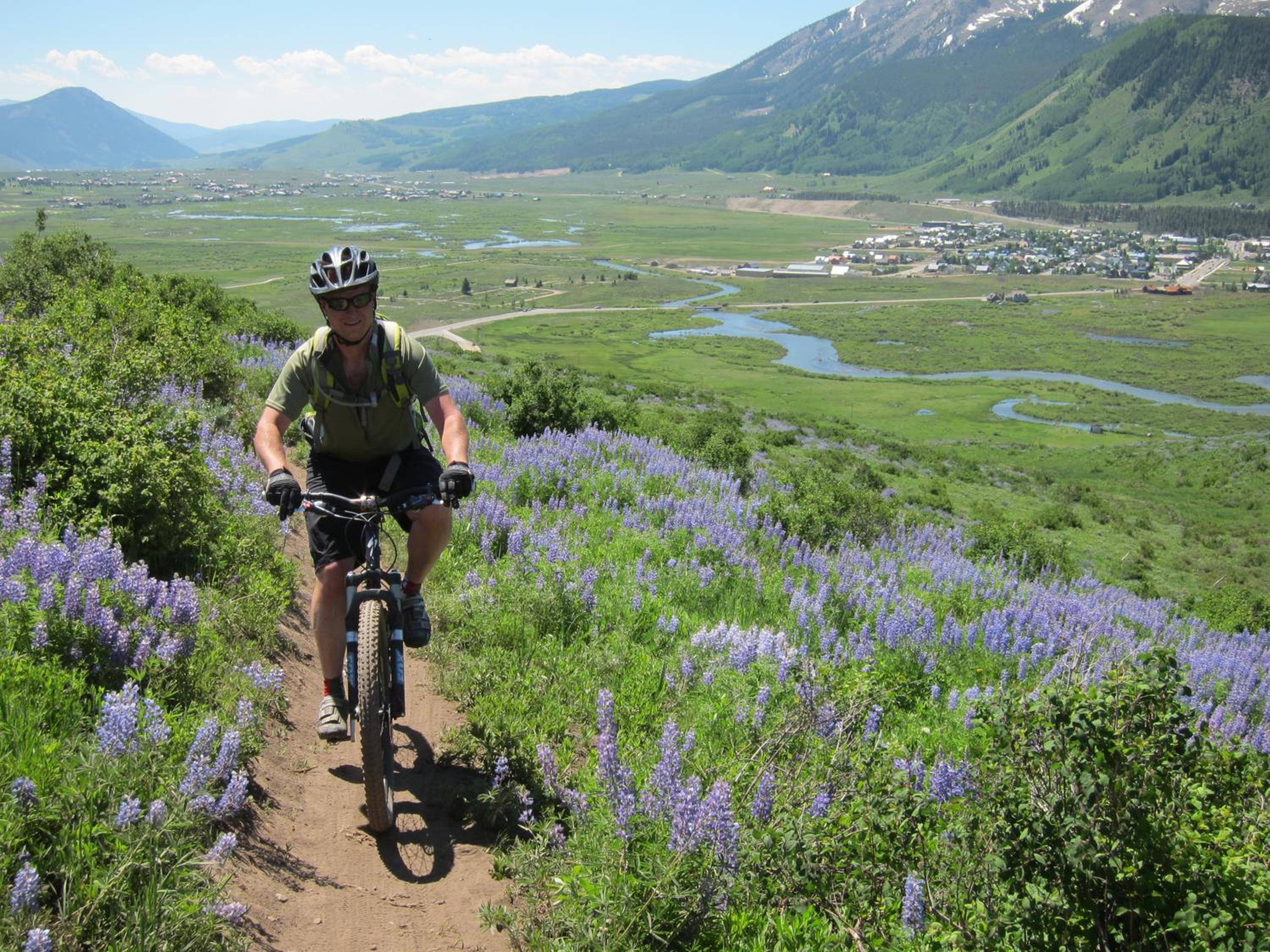 Purple Mountain Bed & Breakfast & Spa