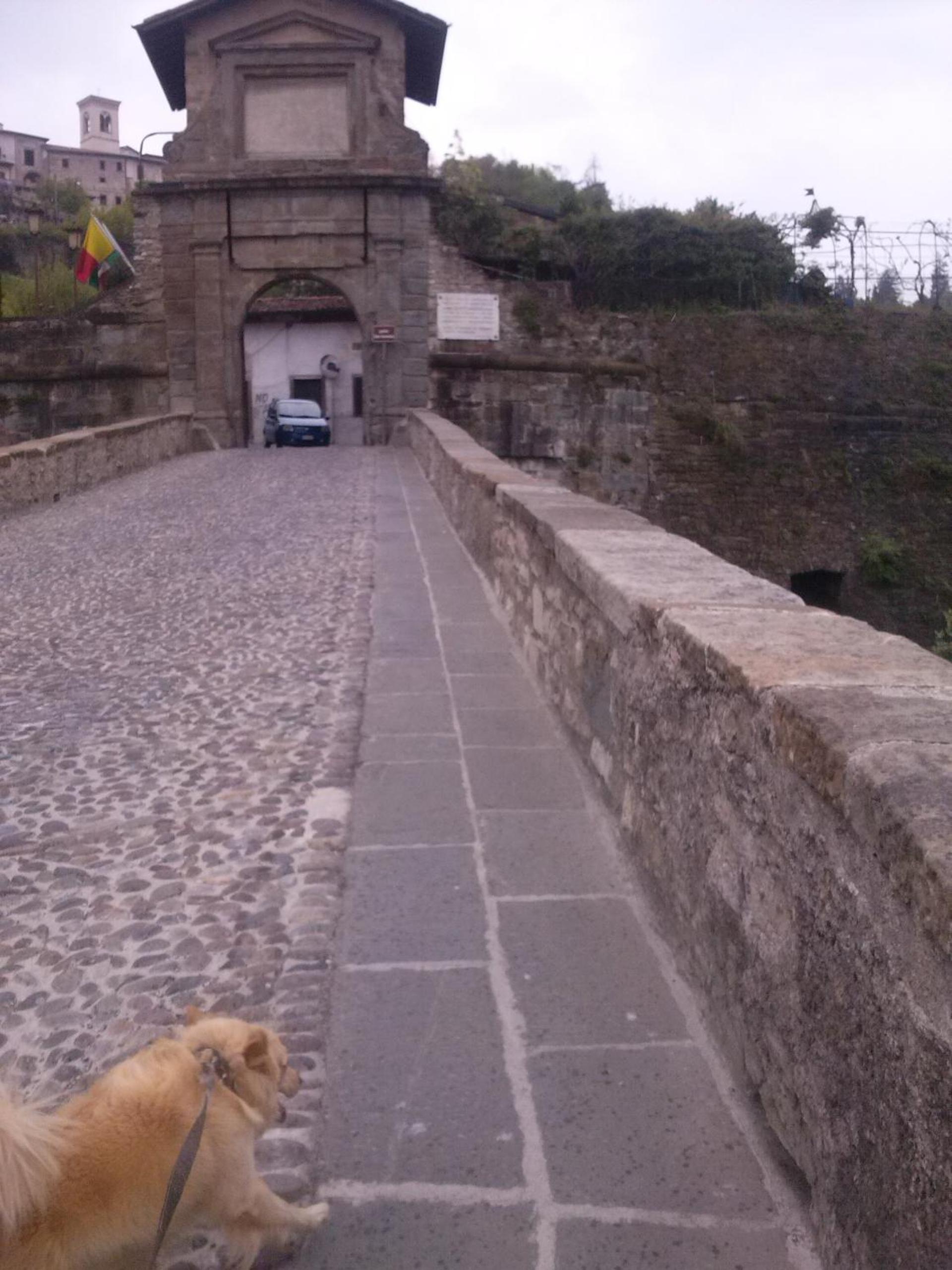 Photo 44