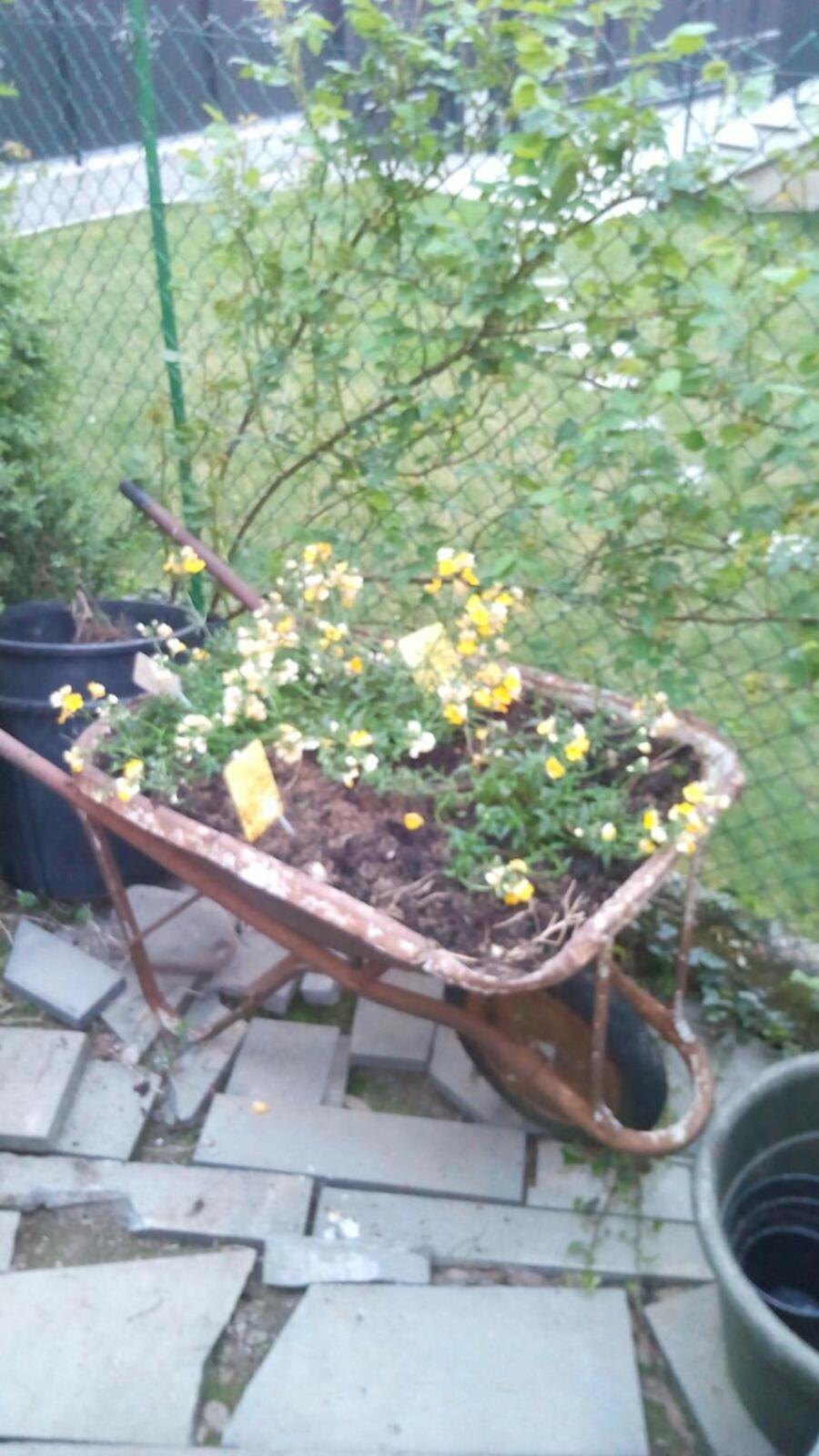 Photo 41