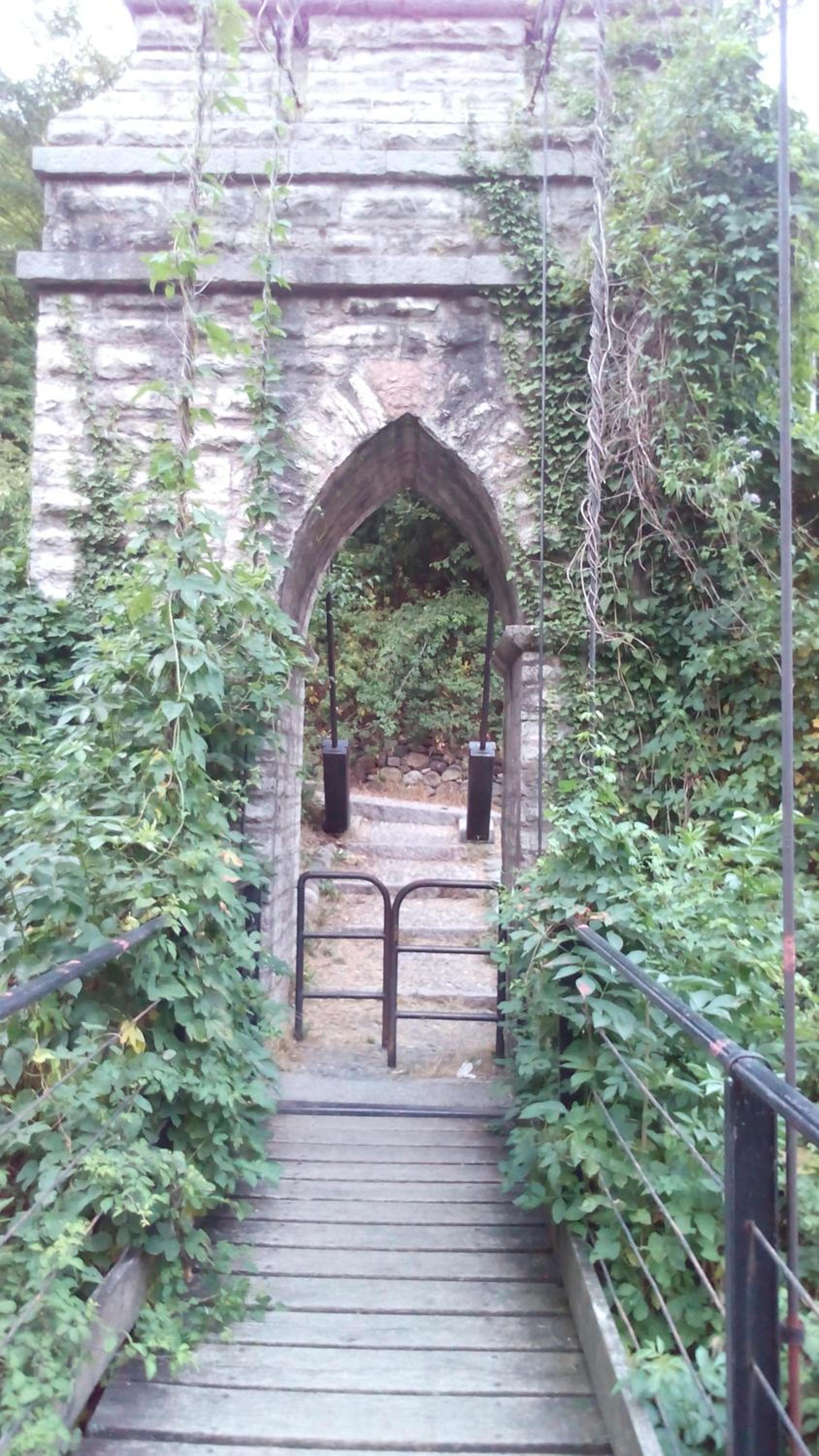 Photo 38