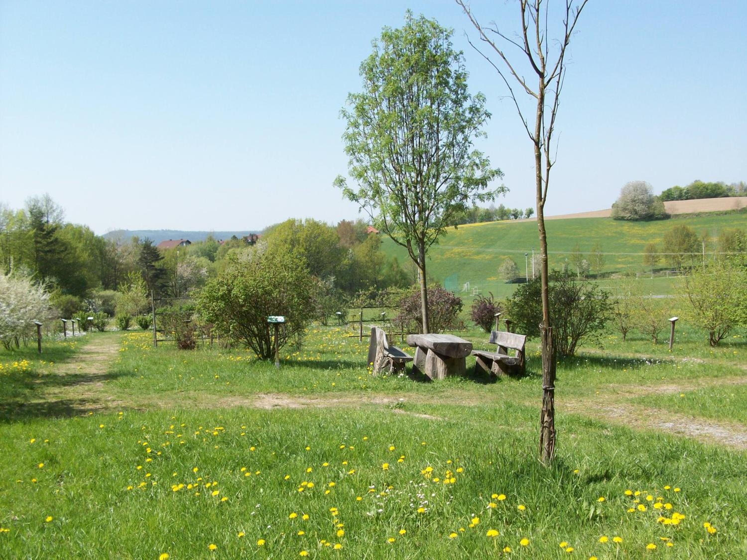 Photo 47