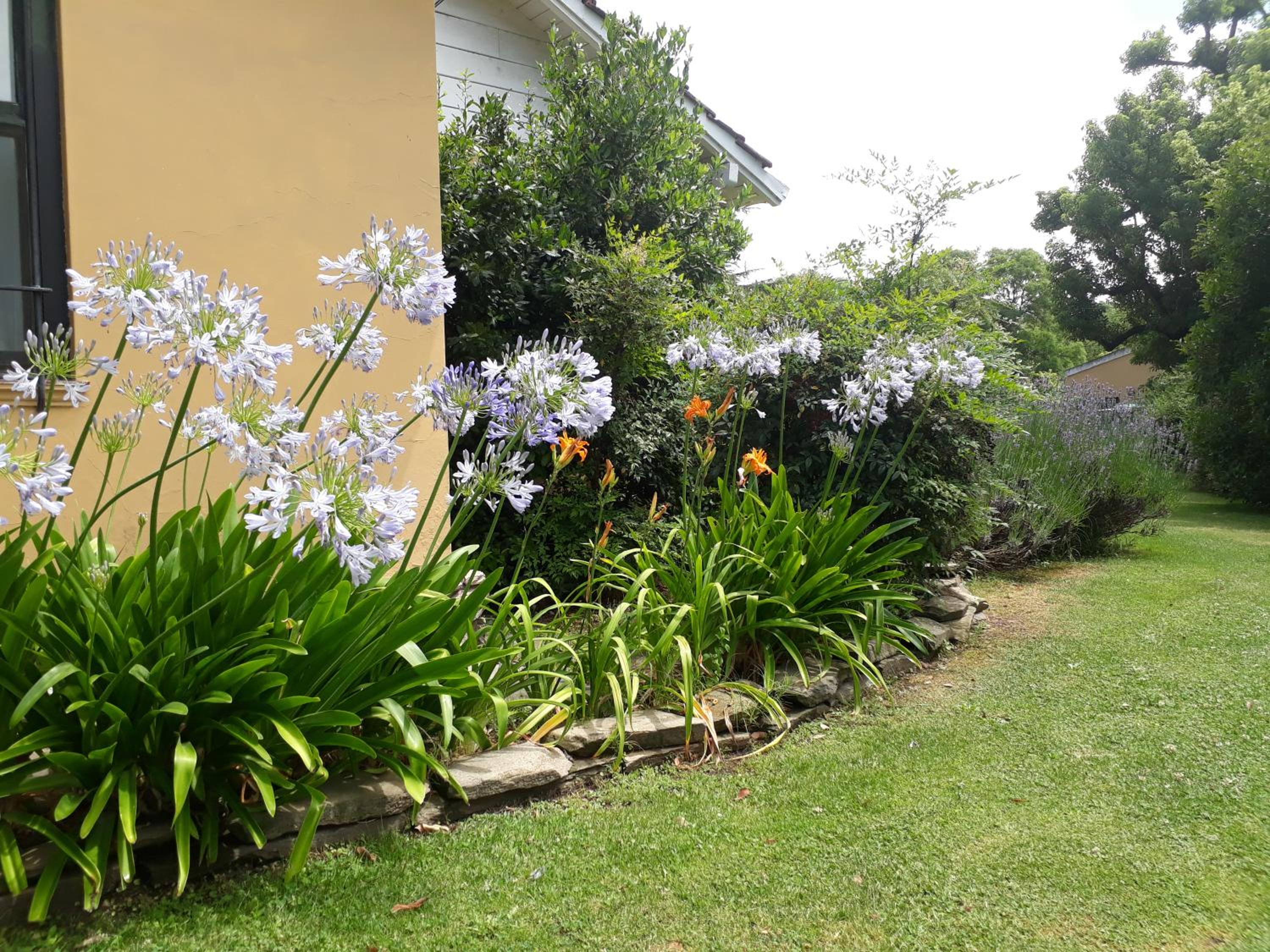 La Caledonia Cabañas Boutique