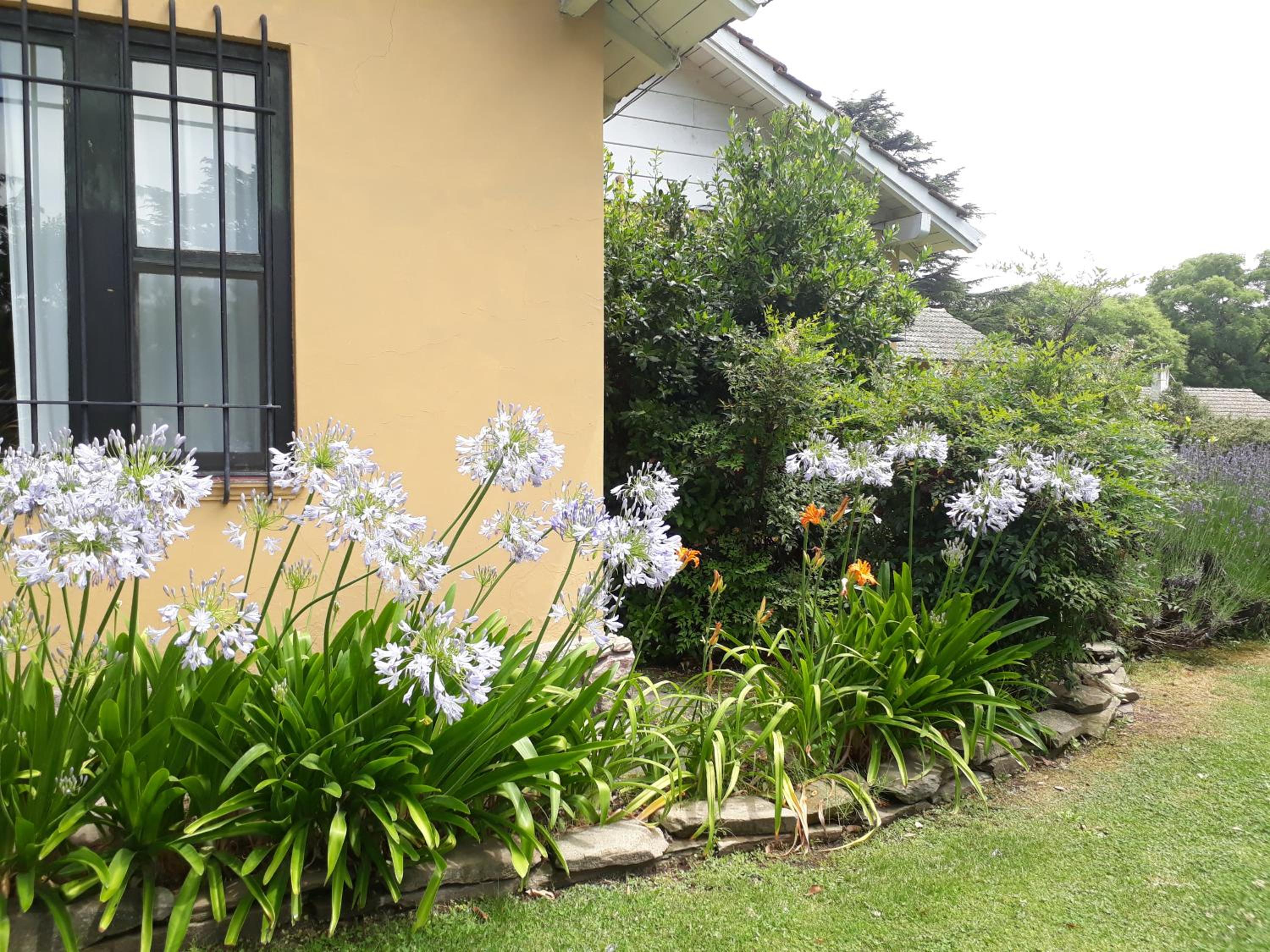La Caledonia Cabañas Boutique