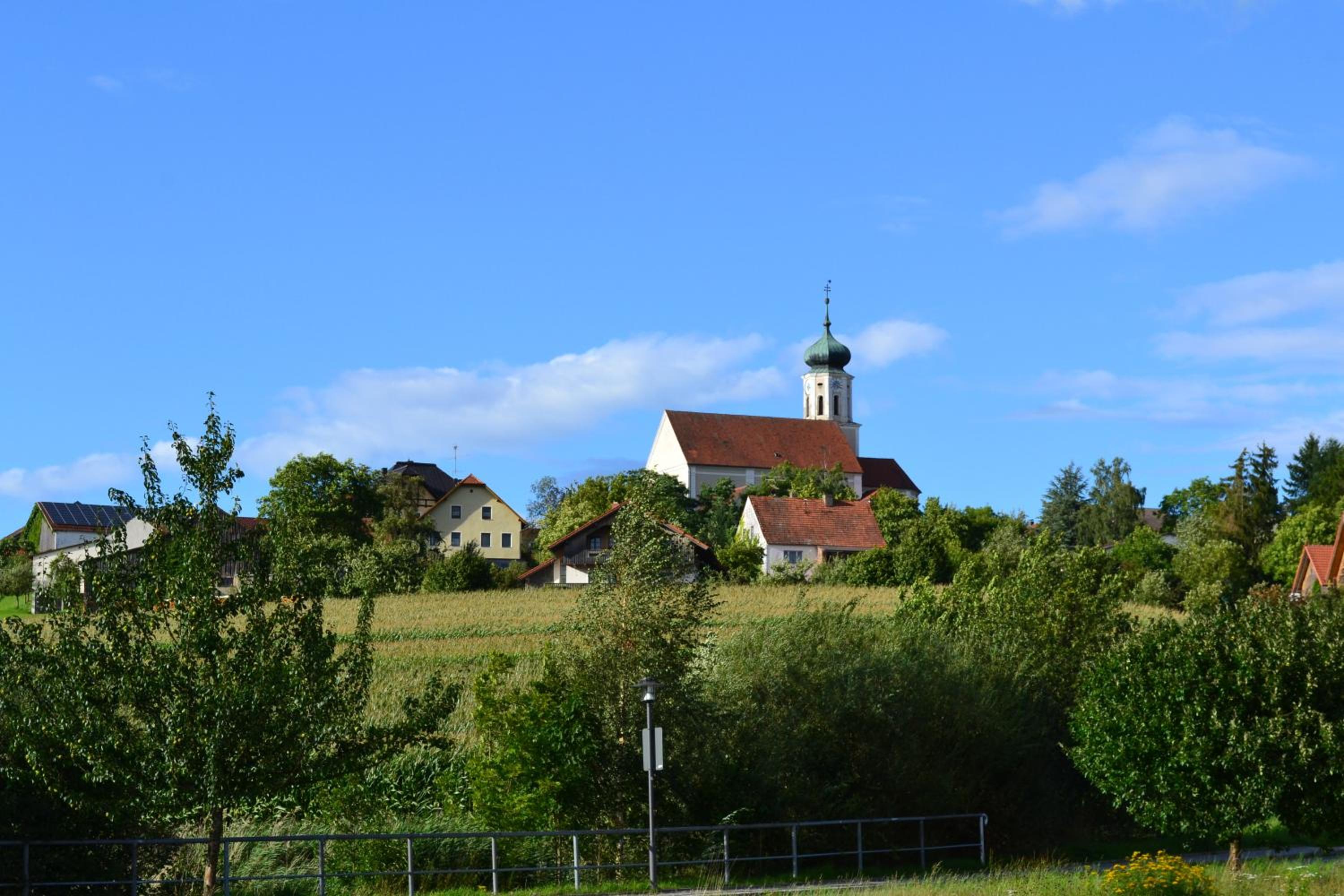 Photo 41