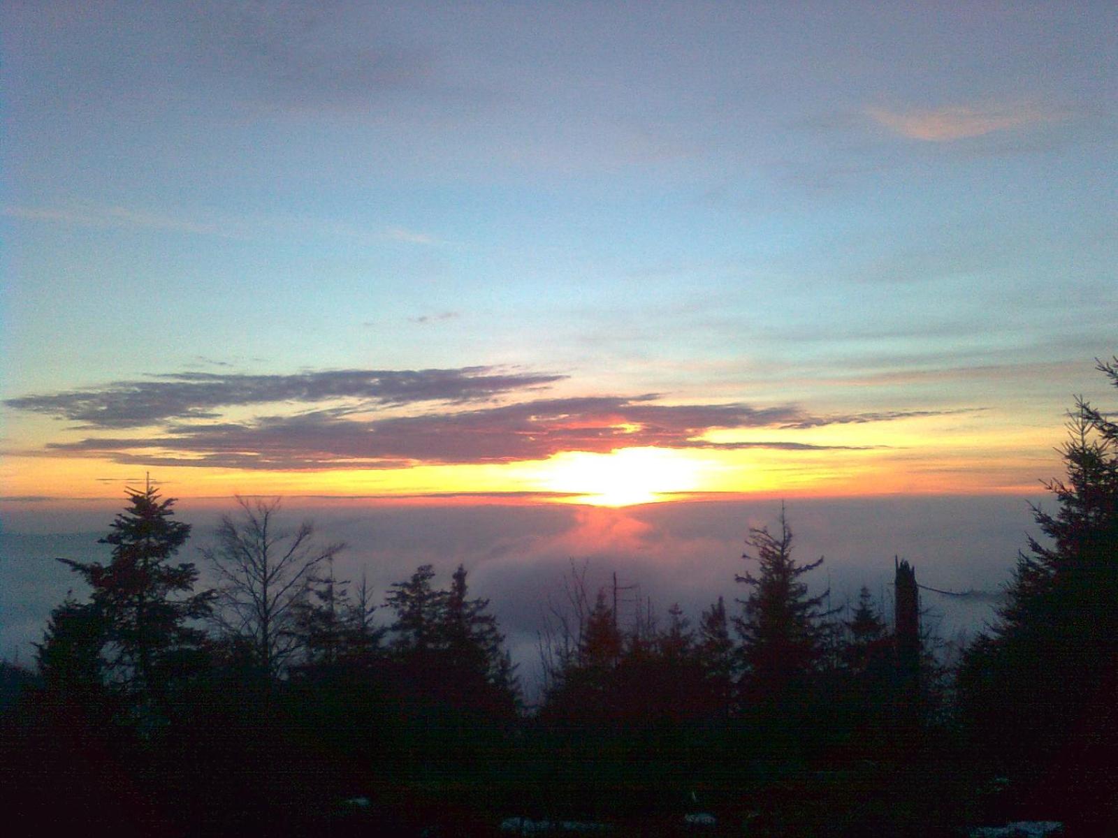 Gästezimmer Im Haus Am Wald, photo 35