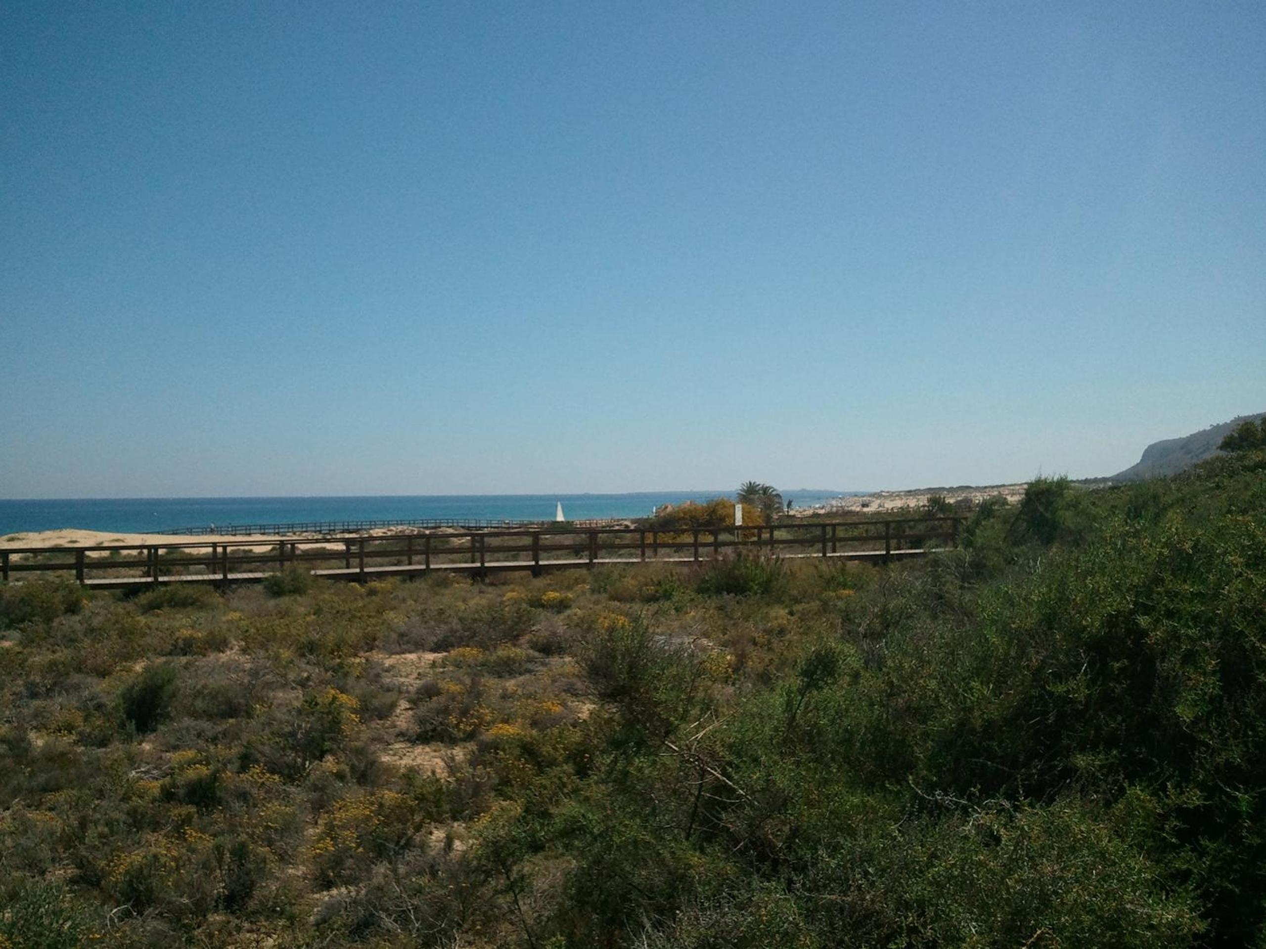 Photo 38