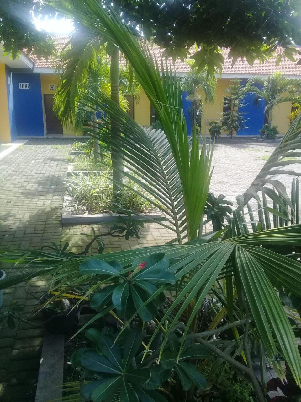 Photo 46