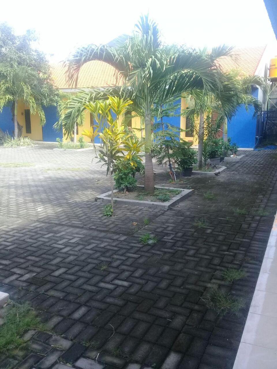 Photo 43