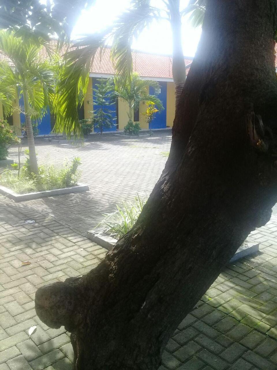 Photo 42