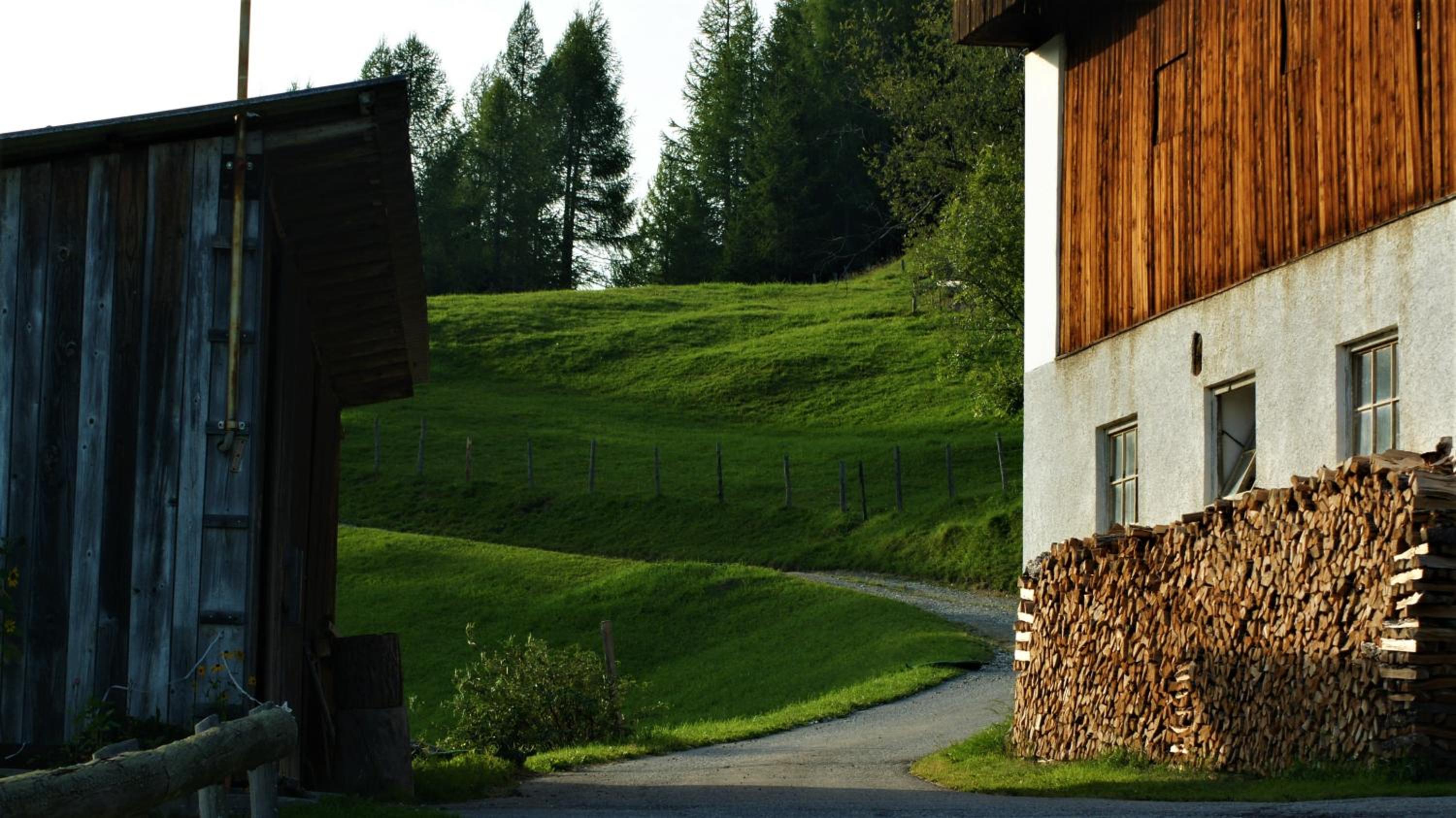 Schrunerhof