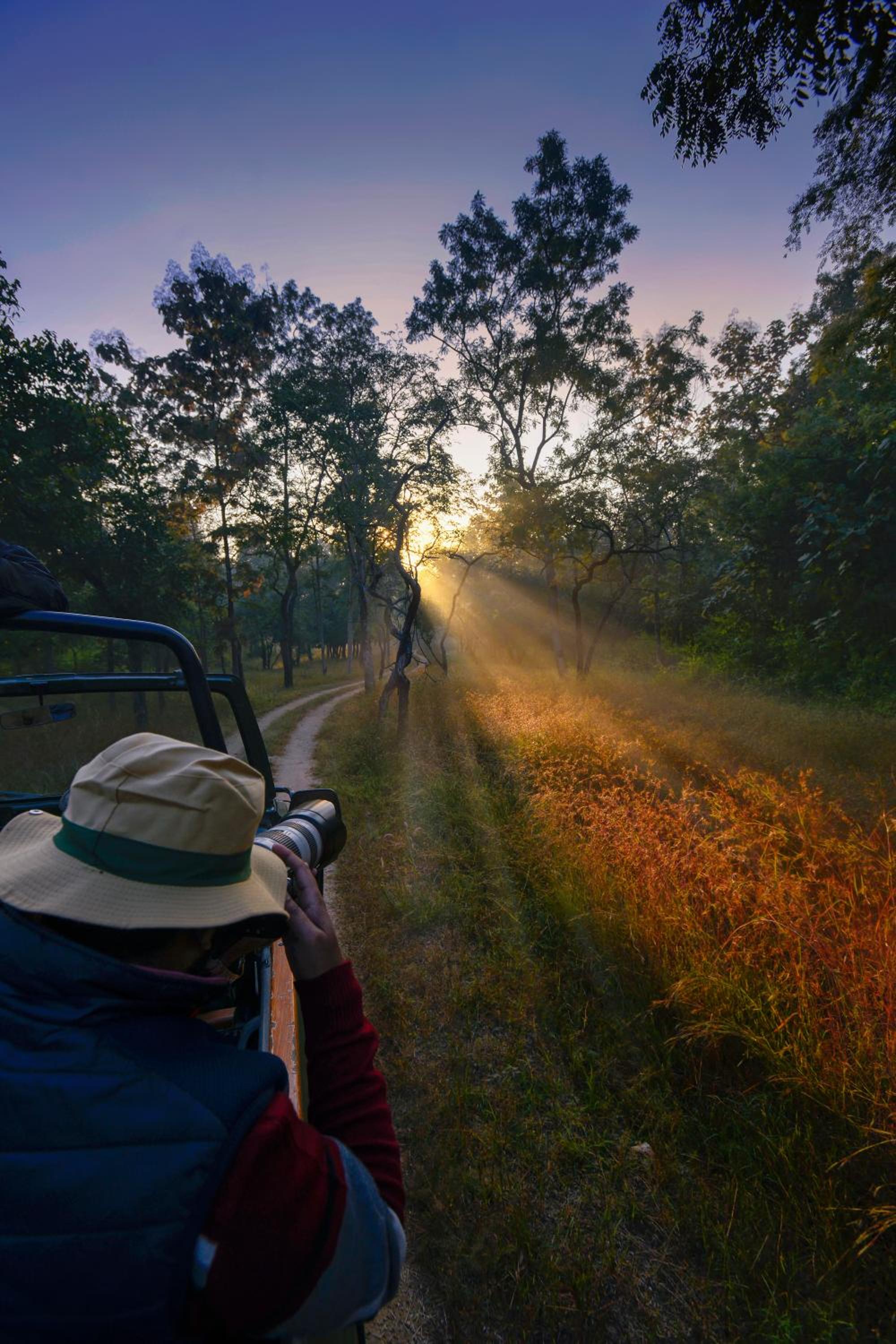 Pench Jungle Camp