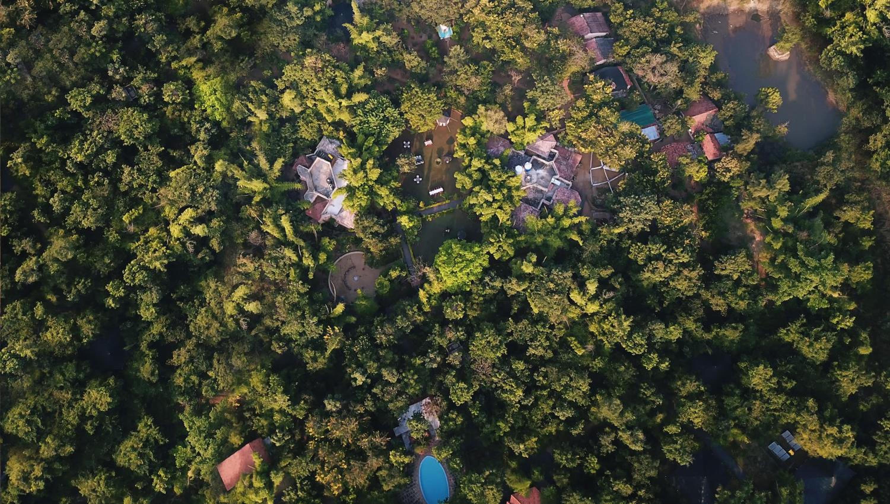 Pench Jungle Camp