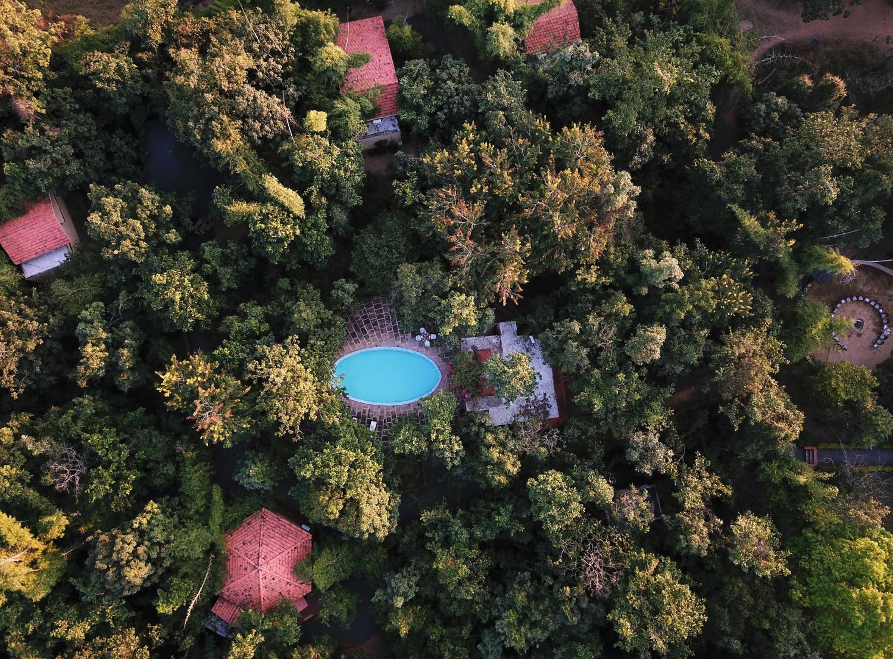 Pench Jungle Camp