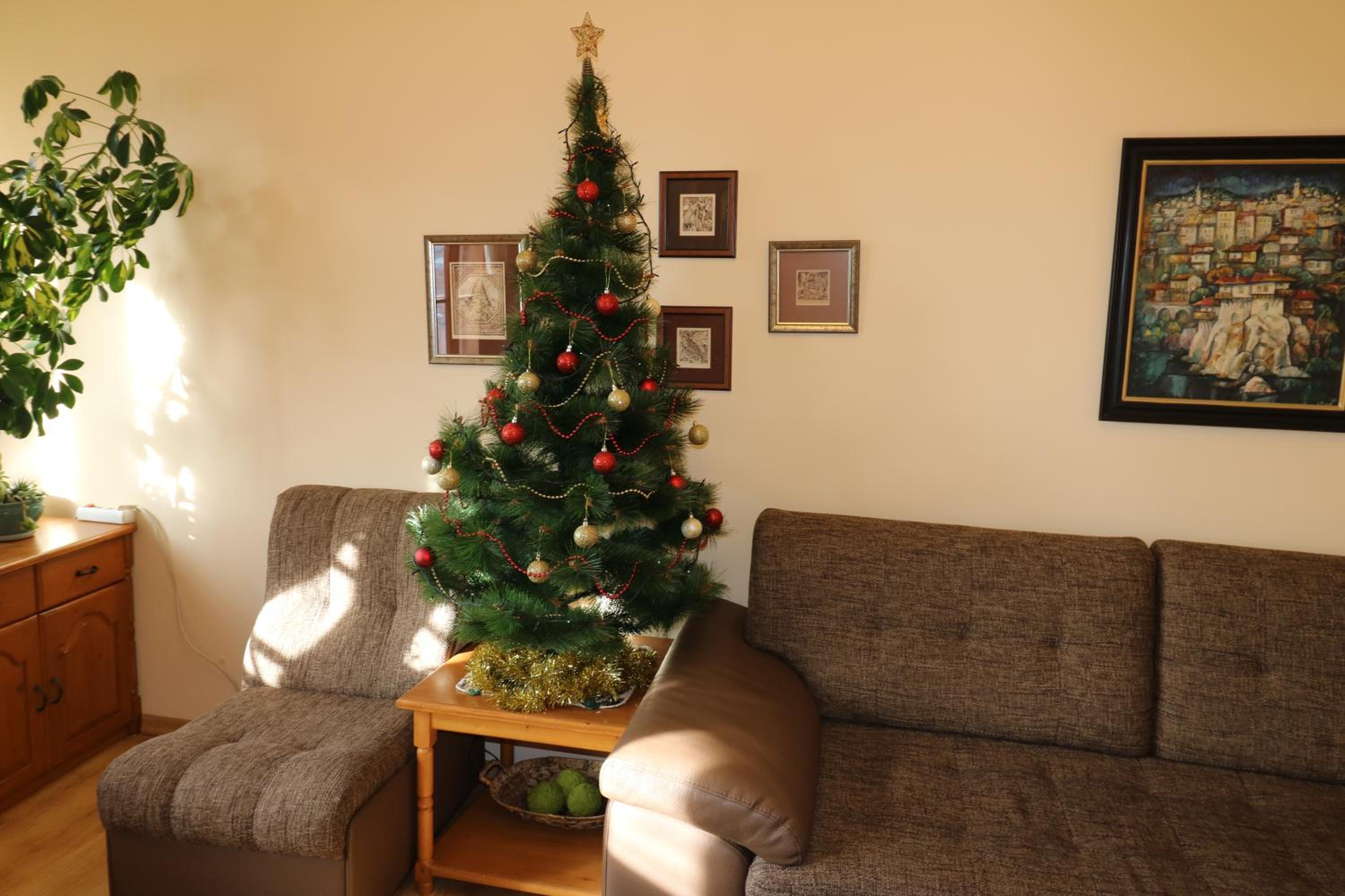 Divna Guest House