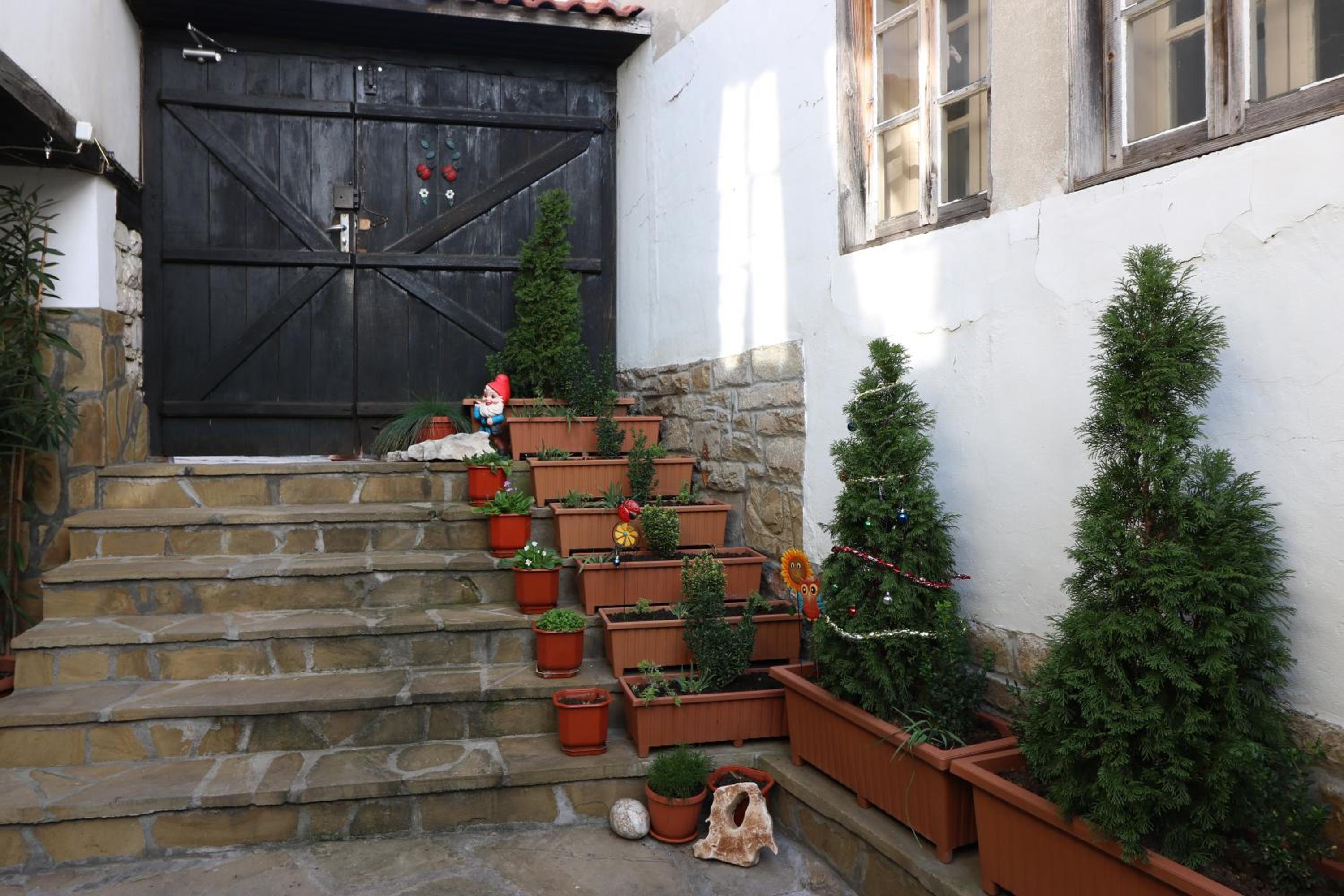 Divna Guest House