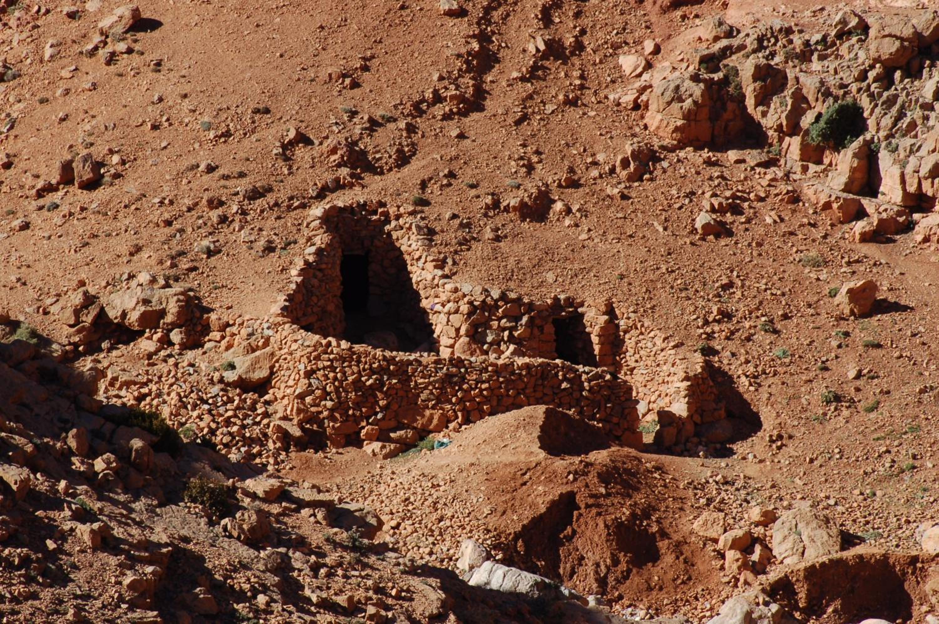 Les Jardins De Todgha gorges de todra tinghir