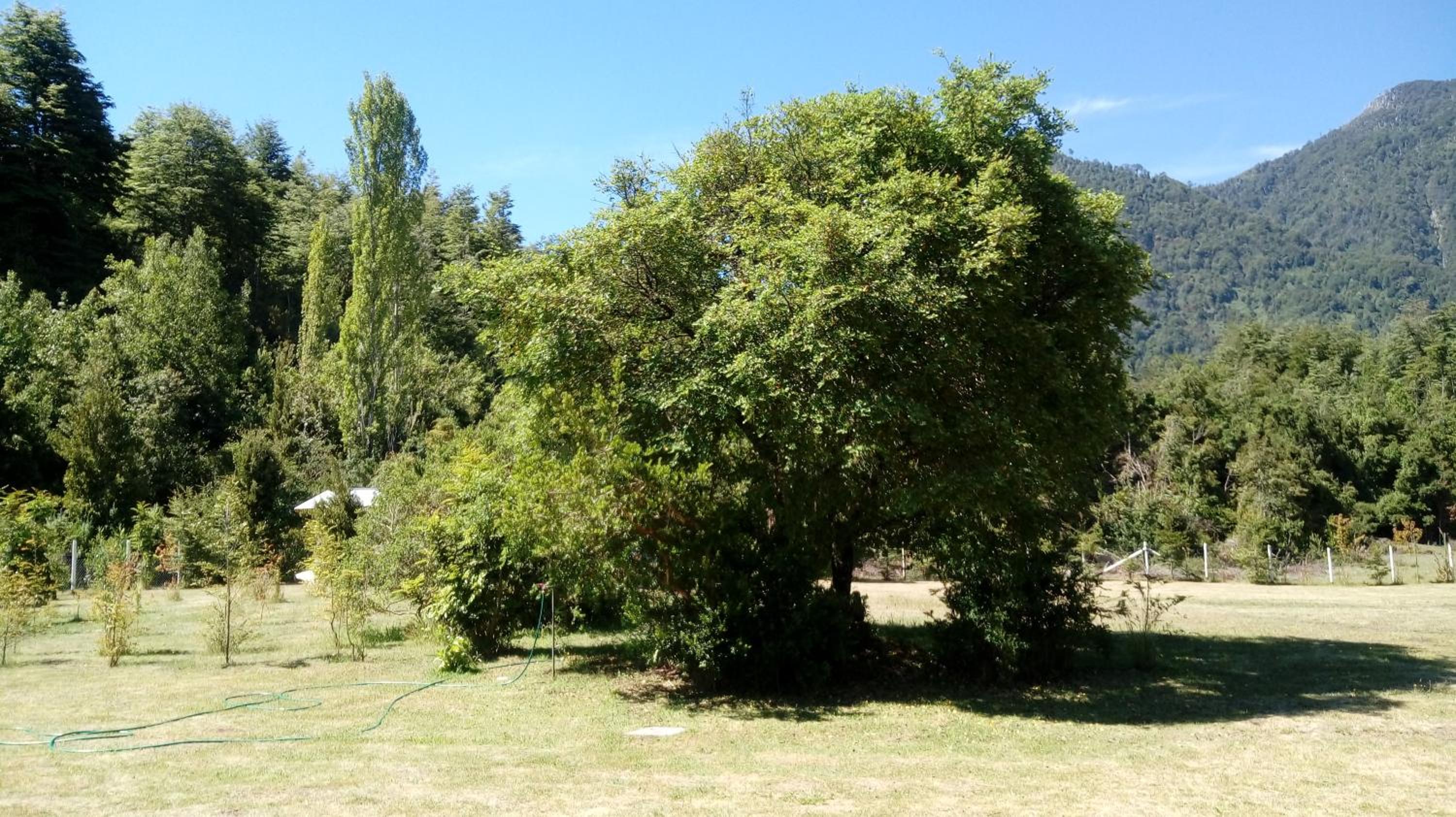 Cabañas El Diuco en Coñaripe 2