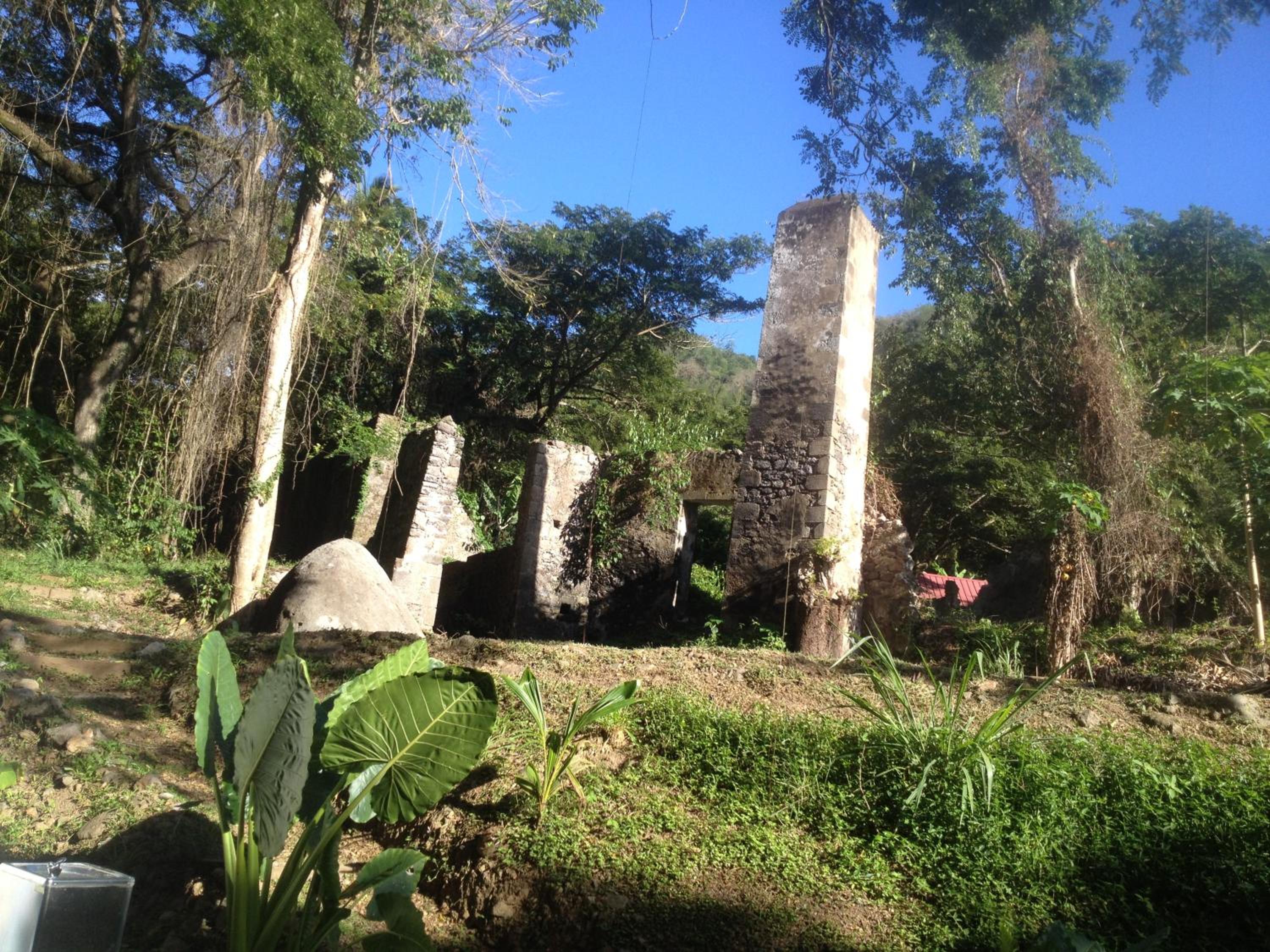 Photo 41
