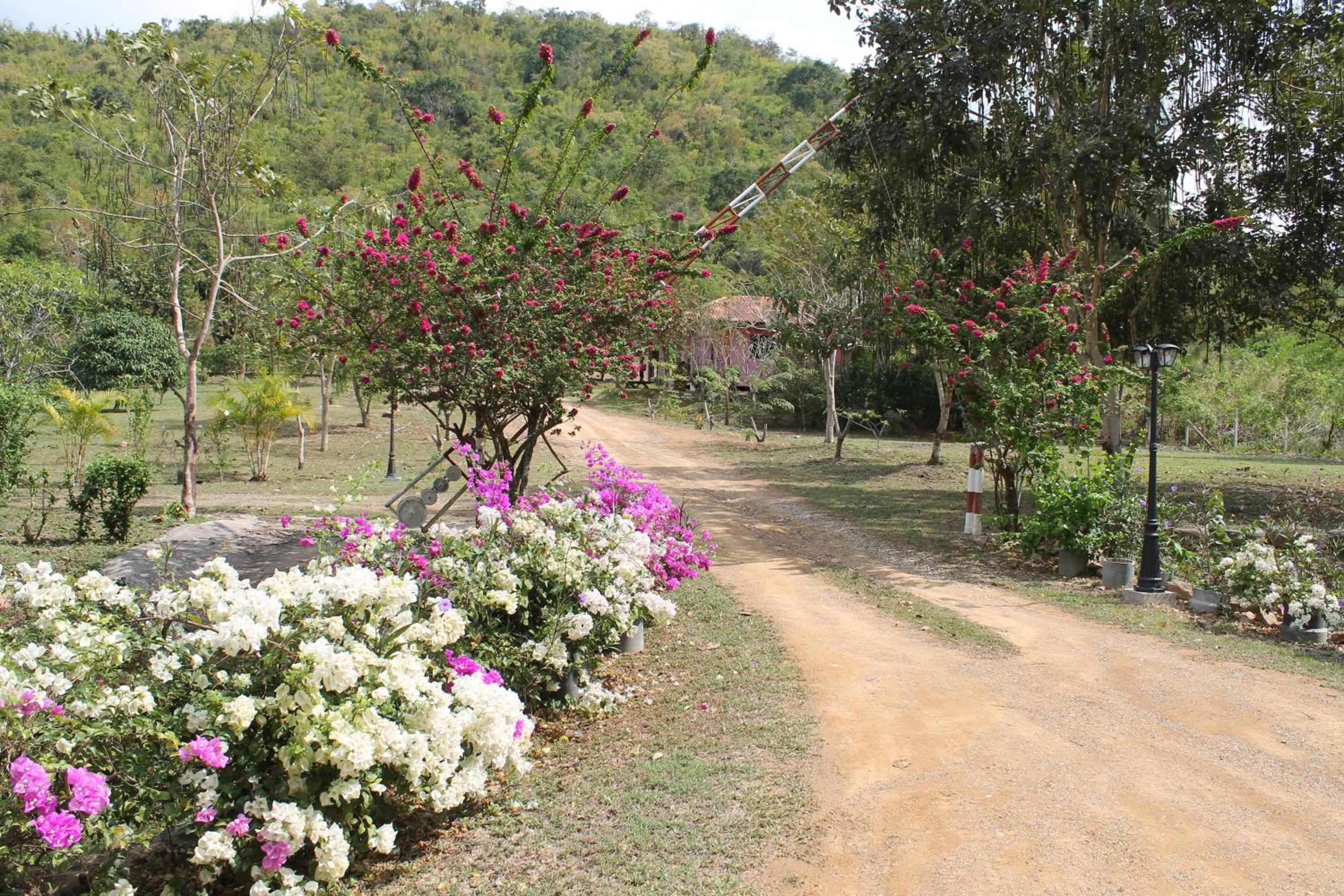 Kaengkachan Lake Hill view 3