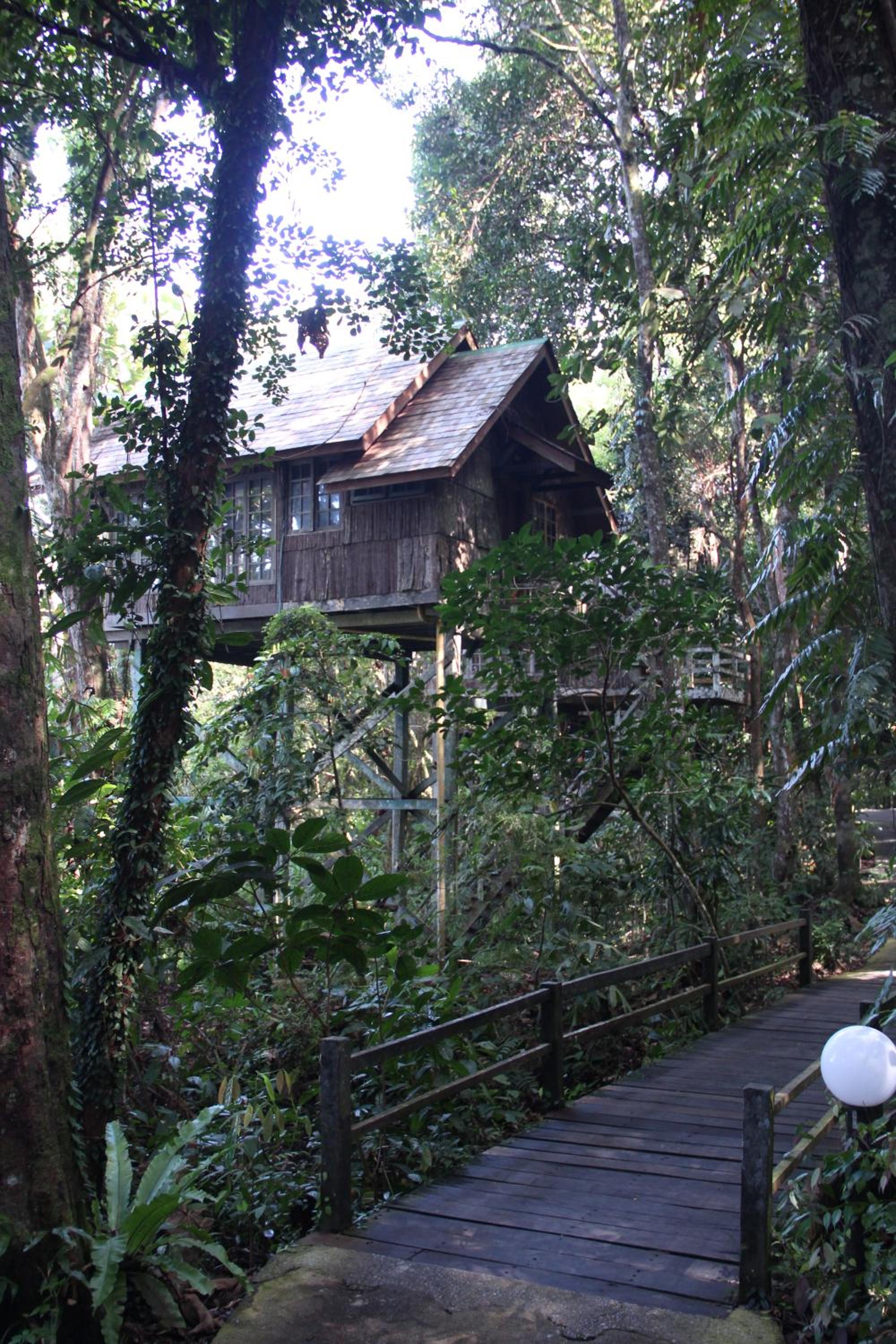Photo 22