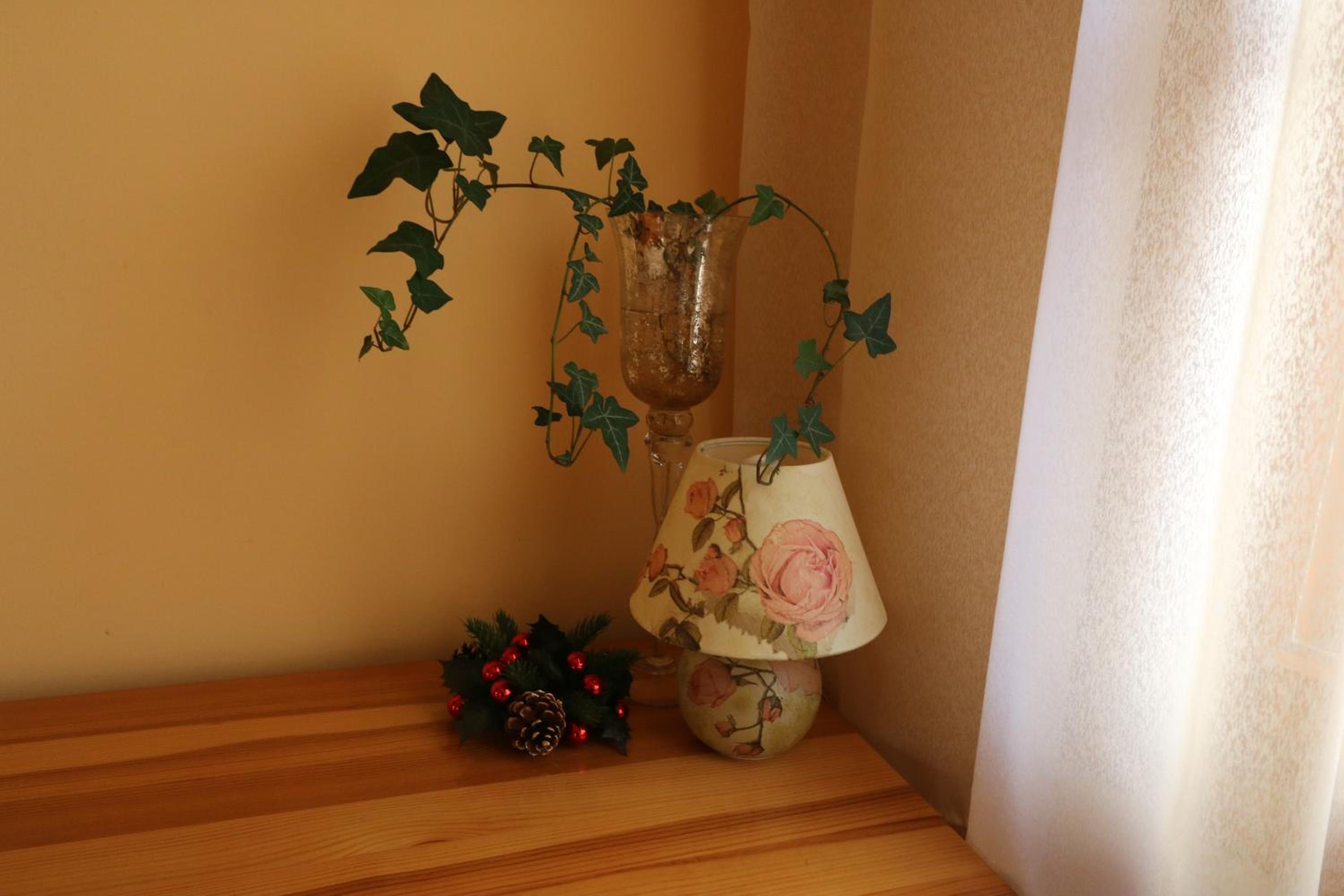 Divna Guest House