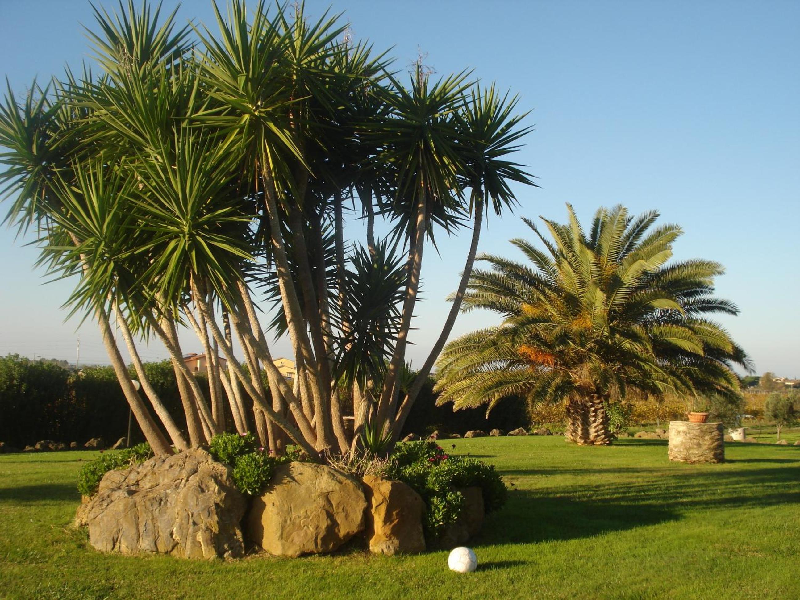 Photo 46