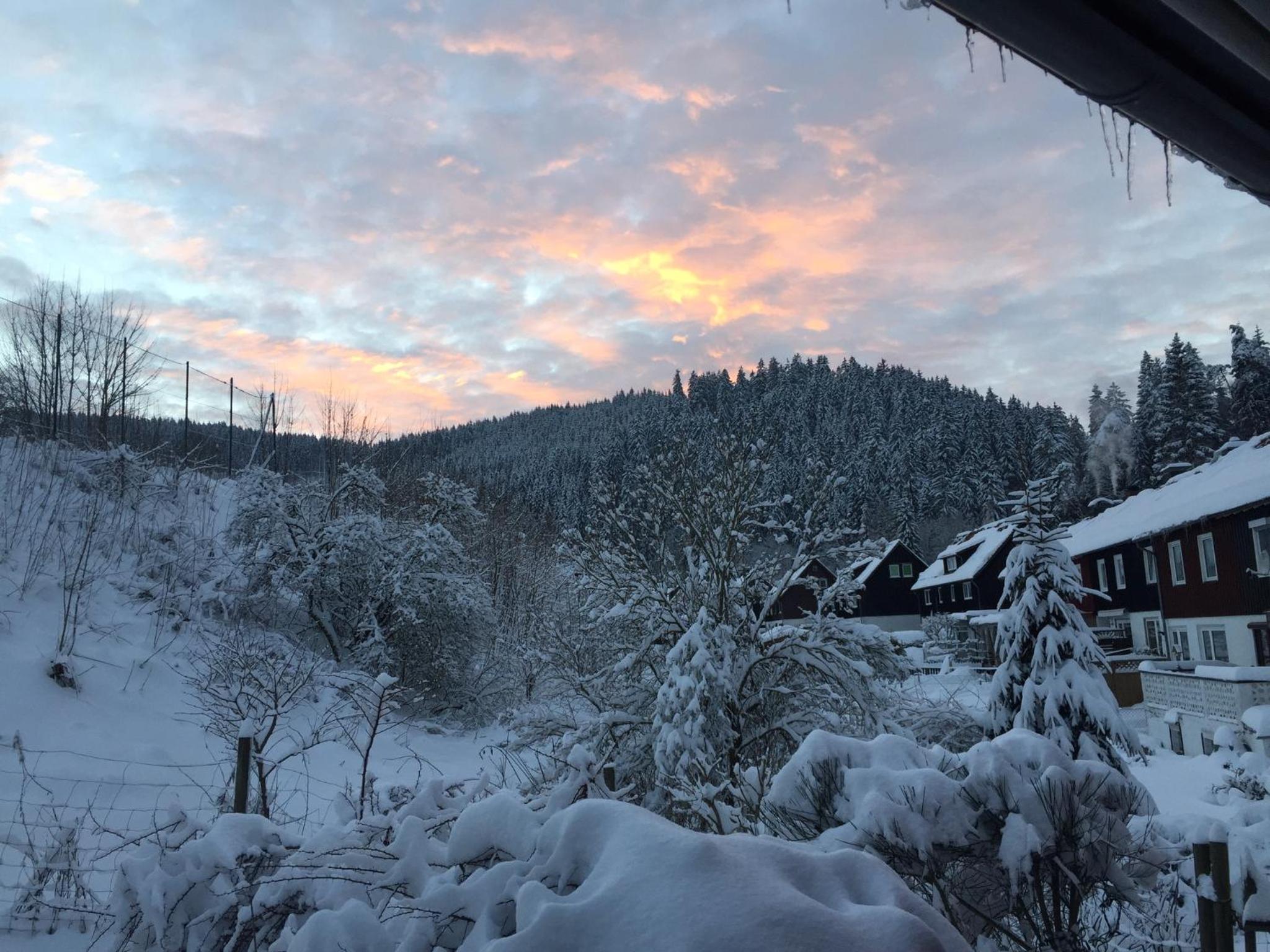 Ferienwohnung An der Innerste view 4