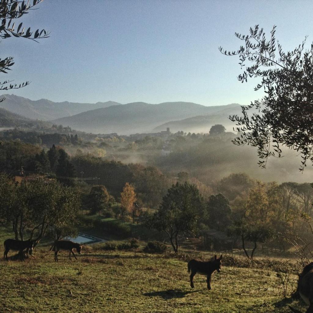 Podere La Piana