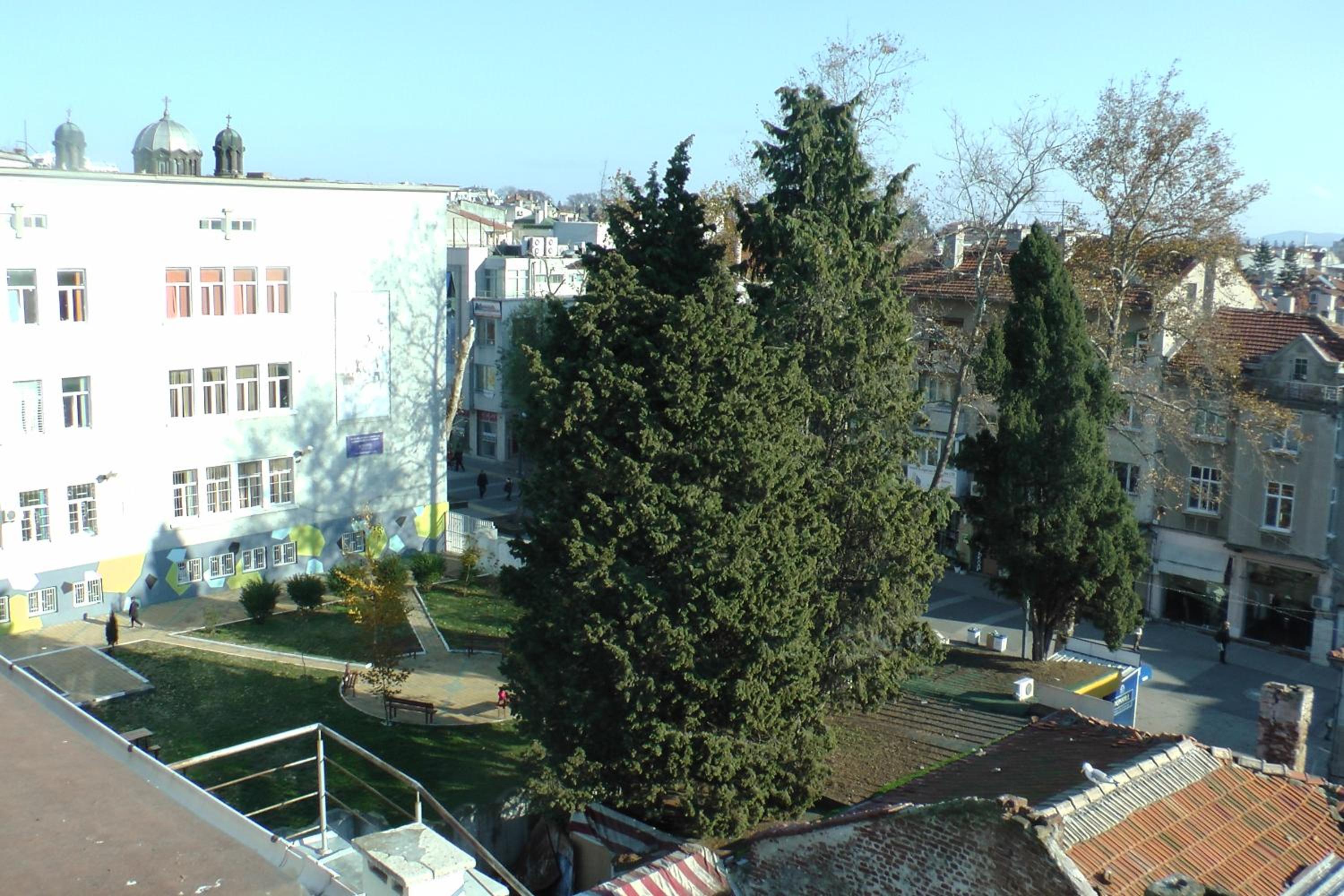 Photo 25