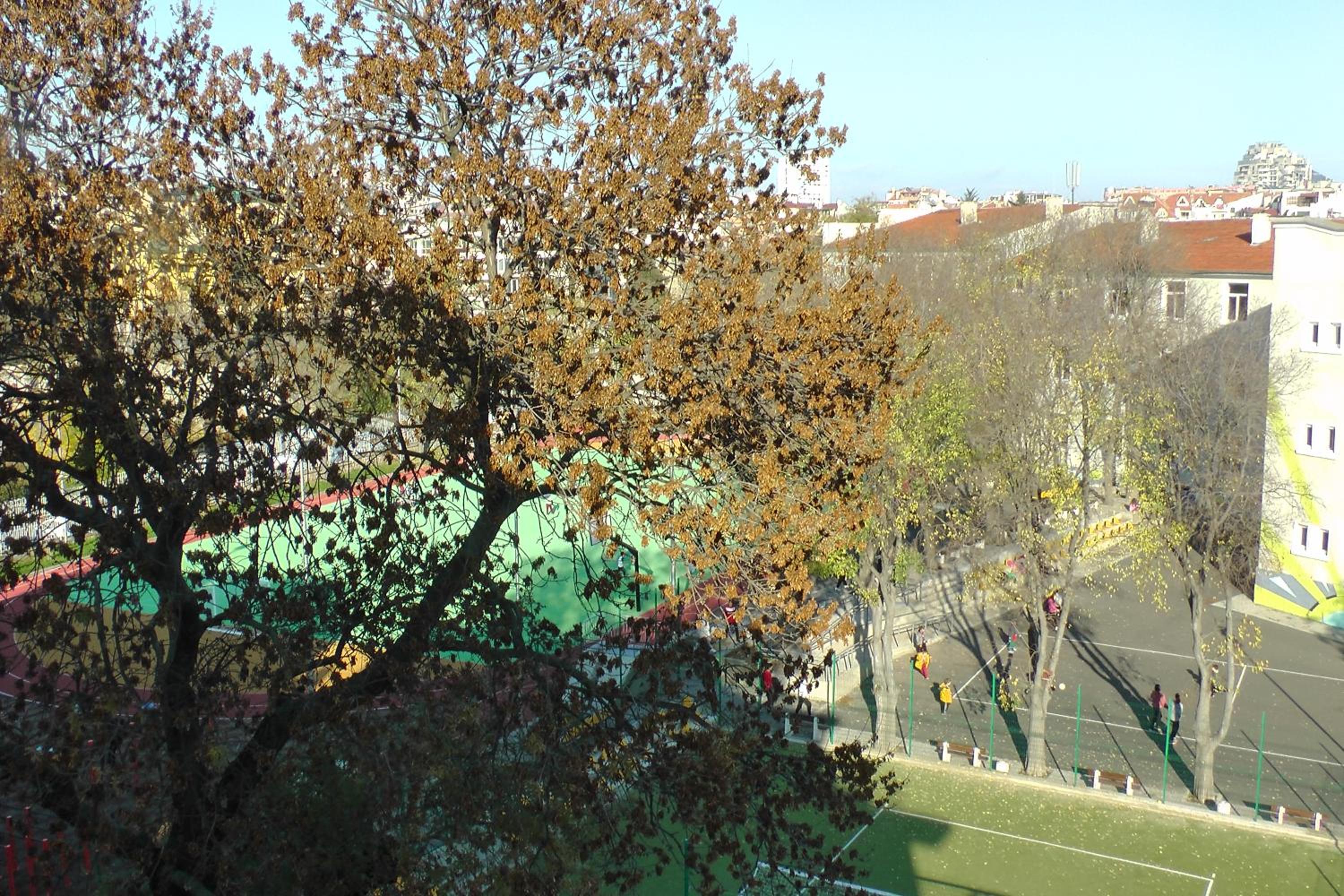 Photo 26