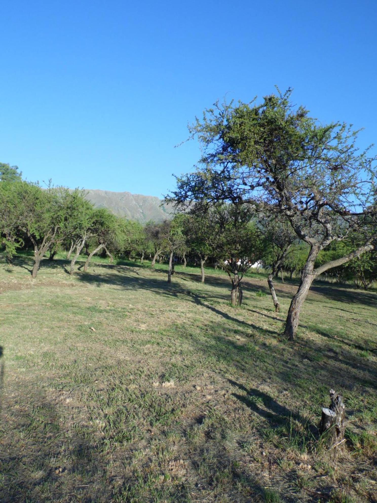 El Naranjero Apart